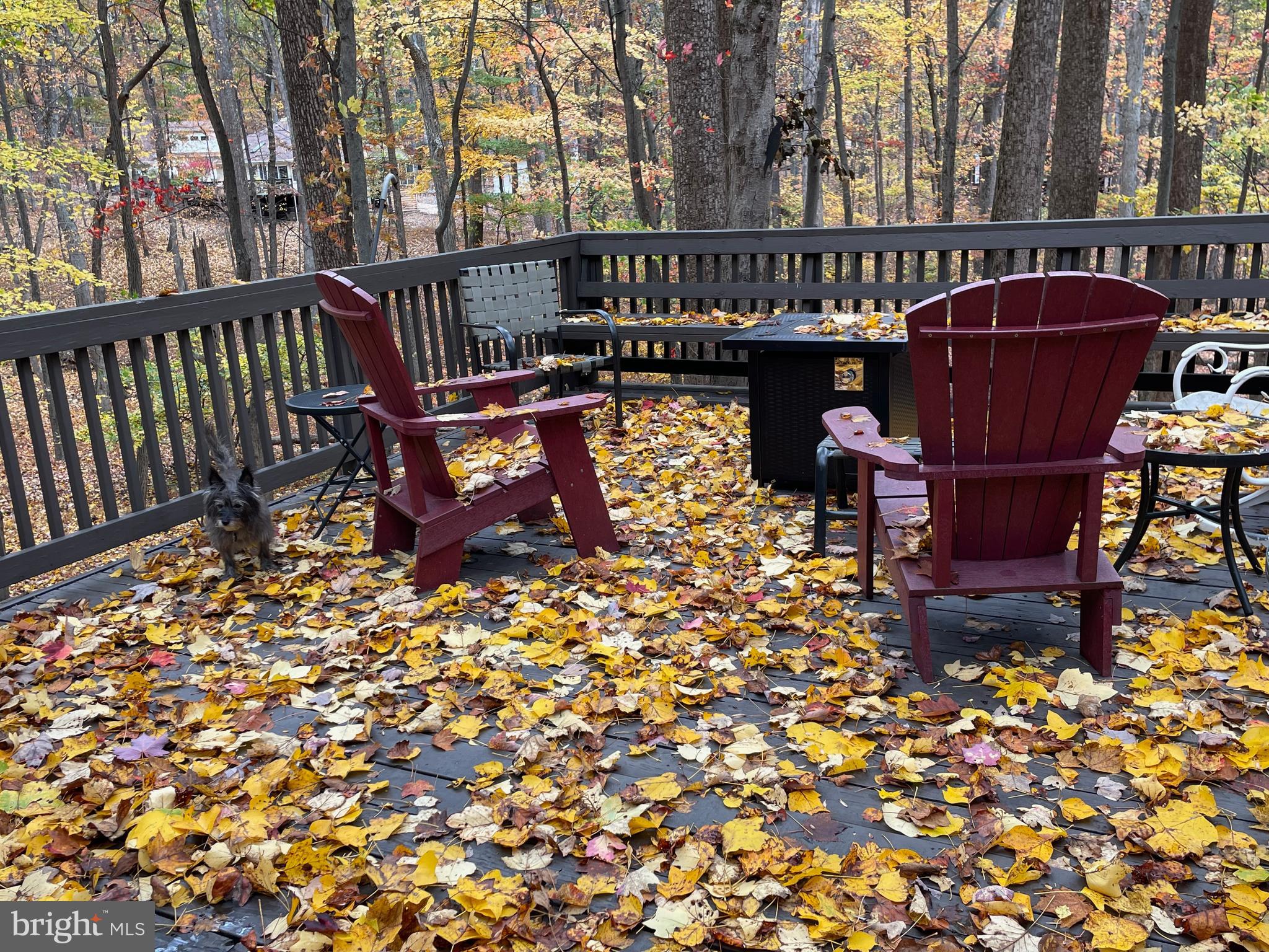 THE WOODS - Residential