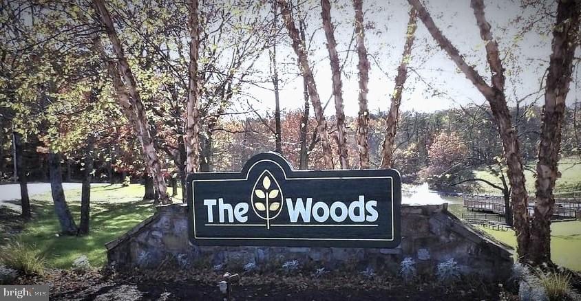 THE WOODS - Residential