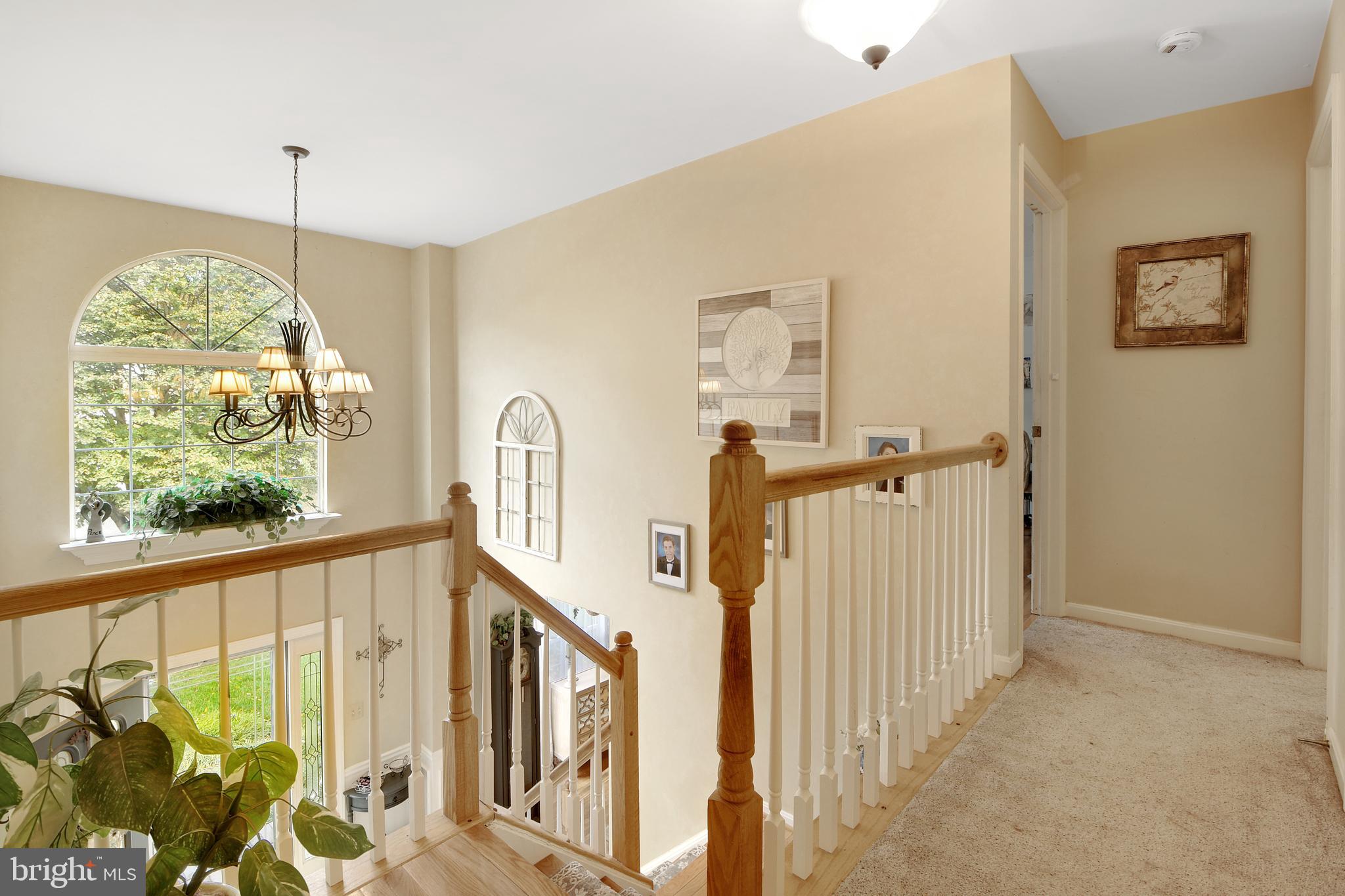 CHAPMAN FARM - Residential