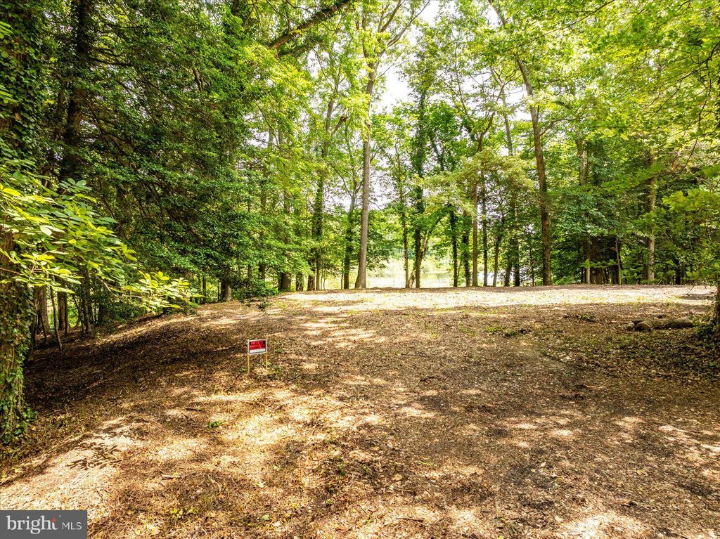 Photo of 32013 Long Lane, LEWES, DE 19958 (MLS # DESU2099434)