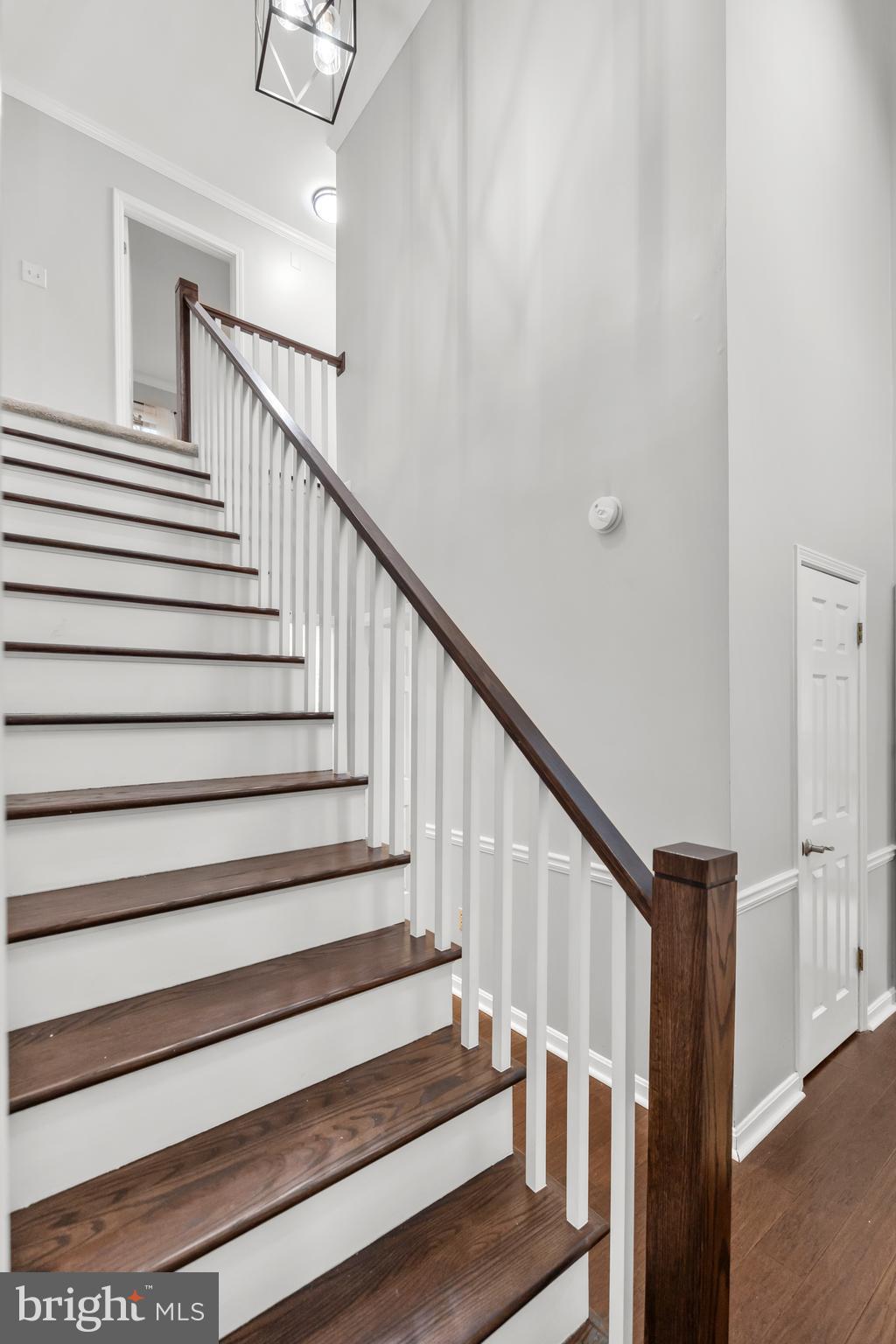 CABIN BRANCH FOREST - Residential