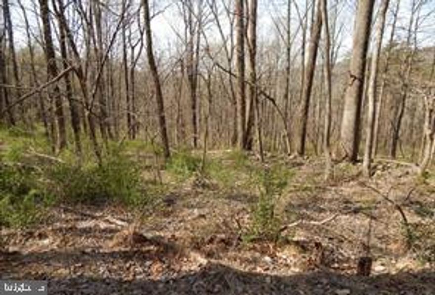 Build your dream vacation cabin on this 4.25 wooded acres. Or your permanent residence.  Desirable area of Berkley Springs, WV. Property has been perked for 3 Bedroom septic system. Bring your building plans and start making family memories in the country. Few protective restrictions.  Priced at $55,000.  Call today for more information.