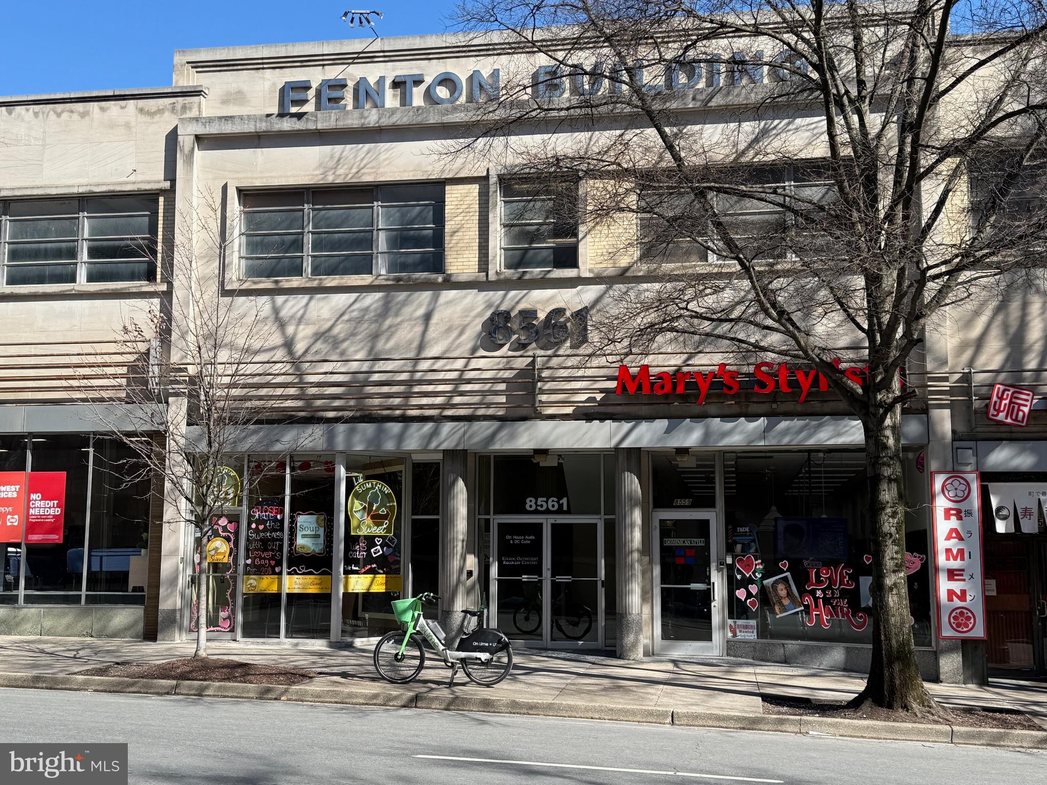 8561 FENTON STREET SUITE 225