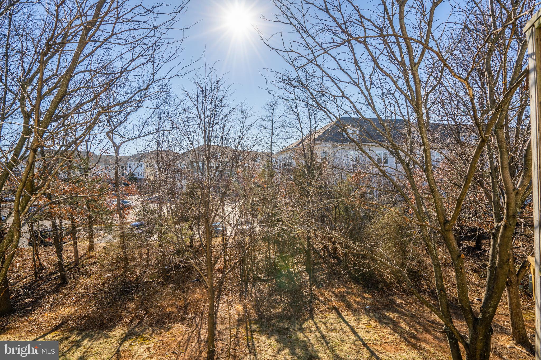 COLONNADE AT DULLES - Residential
