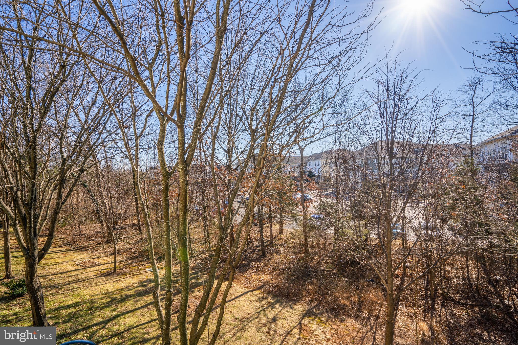 COLONNADE AT DULLES - Residential