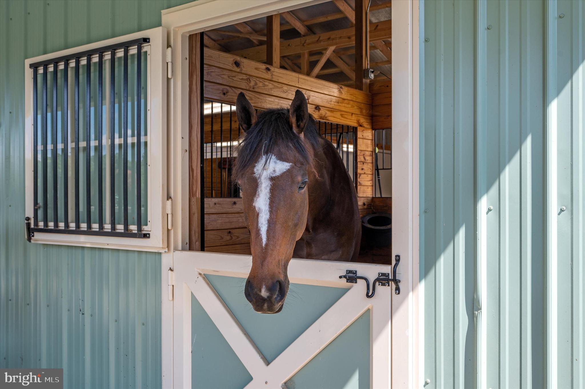 WATERFIELD HAMLET - Farm