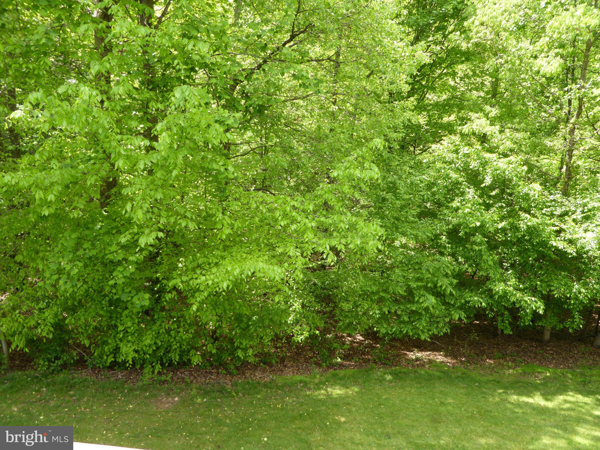 ASHLAND - Residential