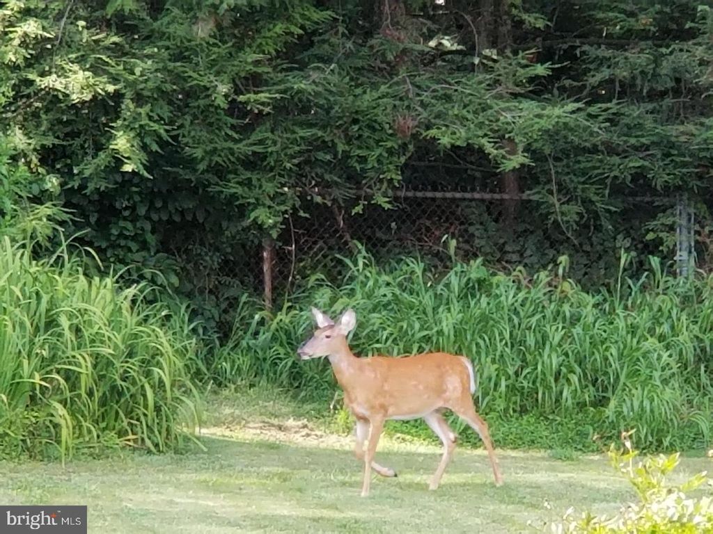 Photo of 24 N BAUSMAN DR, LANCASTER, PA 17603 (MLS # PALA2031294)