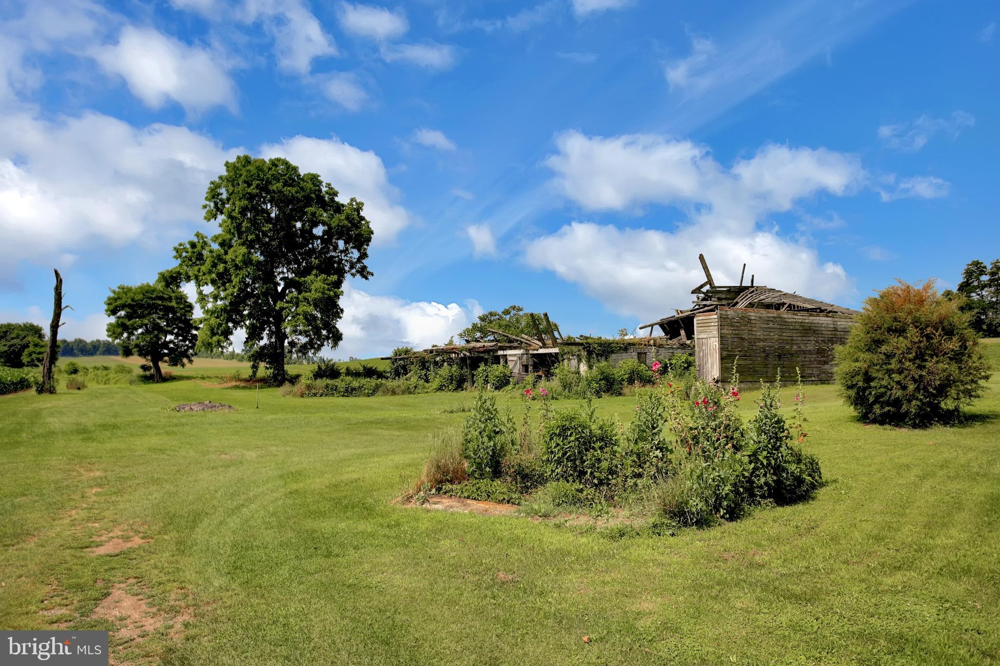 NONE AVAILABLE - Farm