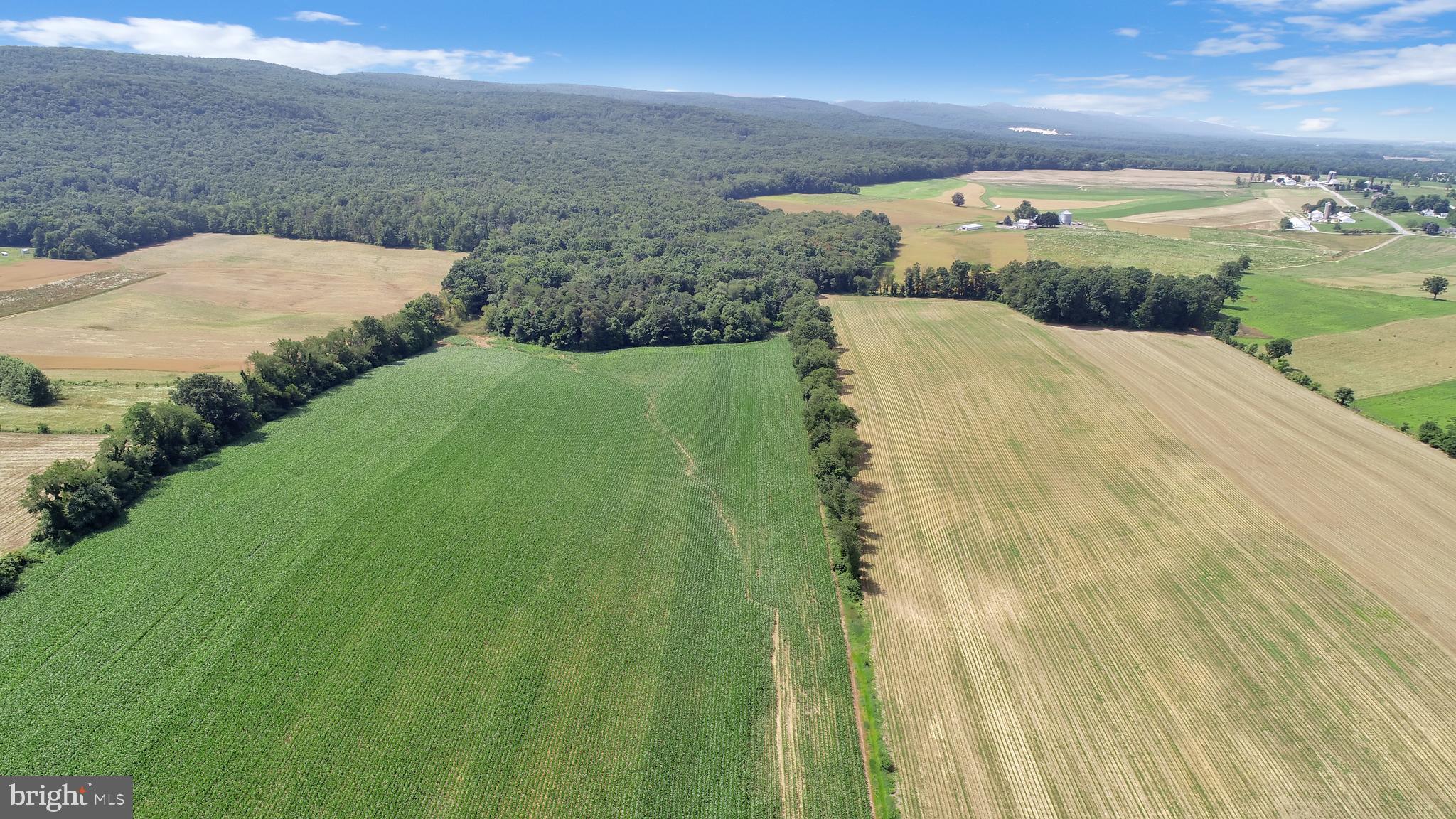 NONE AVAILABLE - Farm