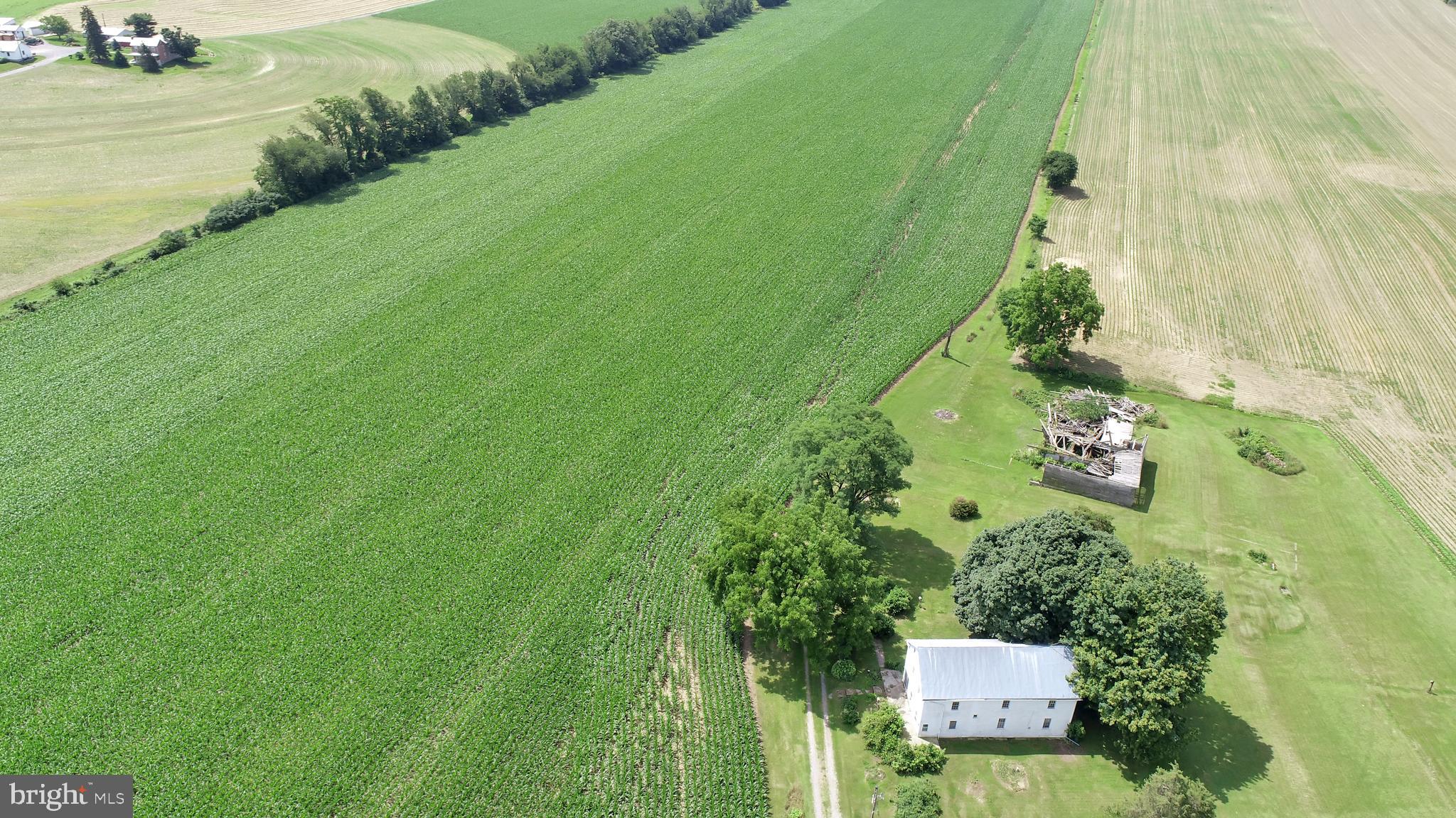 NONE AVAILABLE - Farm