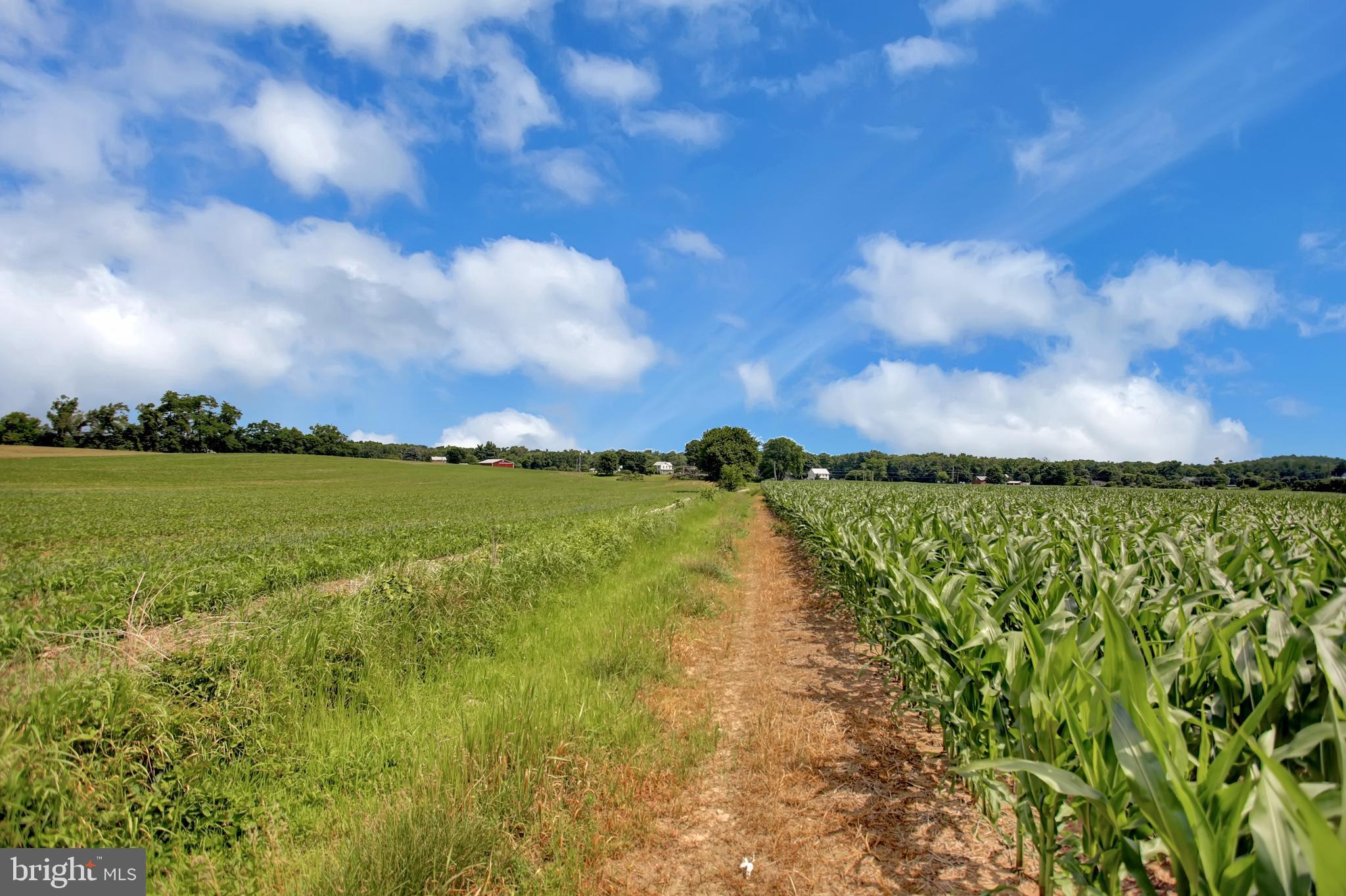 NONE AVAILABLE - Farm