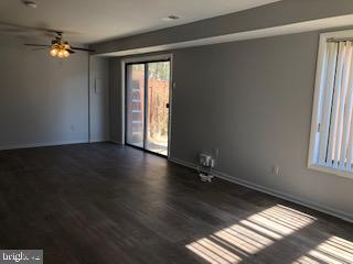 CINNAMON TREE - Residential