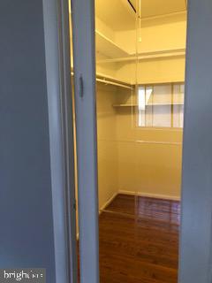 CINNAMON TREE - Residential