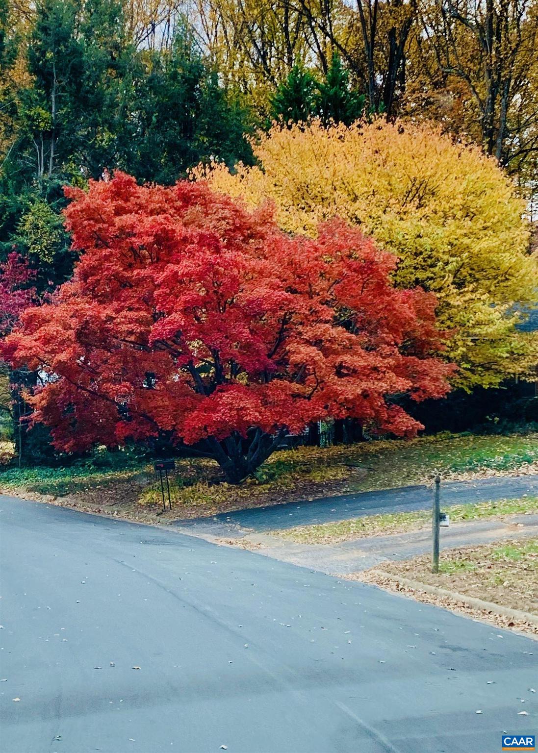 CANTERBURY HILLS - Residential