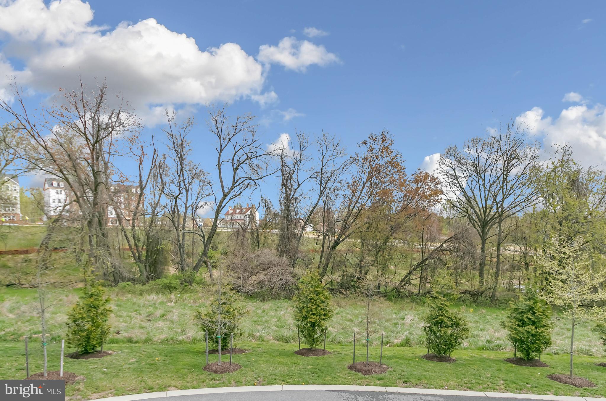 BALLARD GREEN - Residential