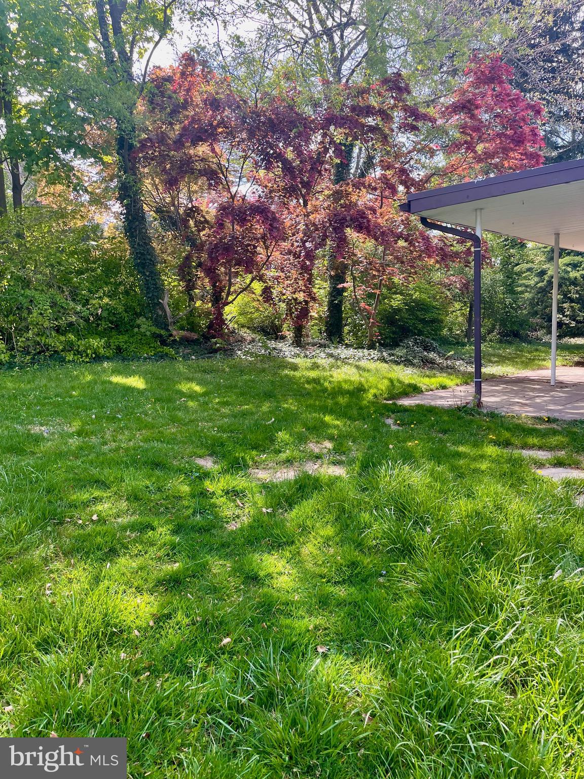 ROCKLEDGE - Residential