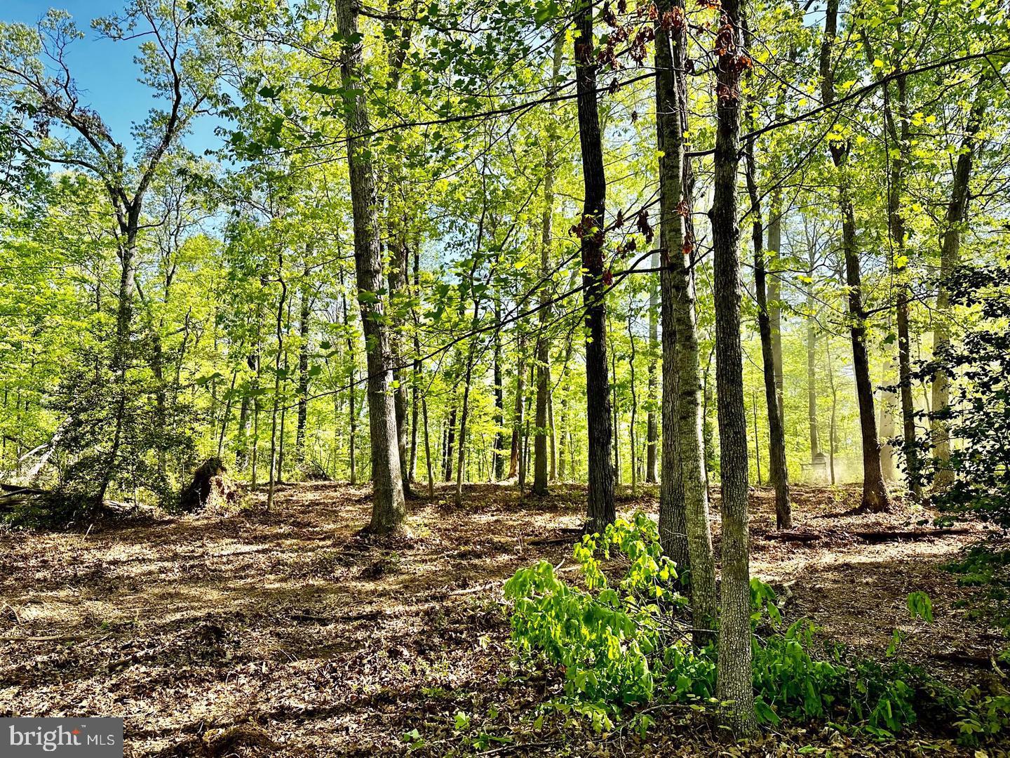 00 Lot 2 TAPPS FORD ROAD
