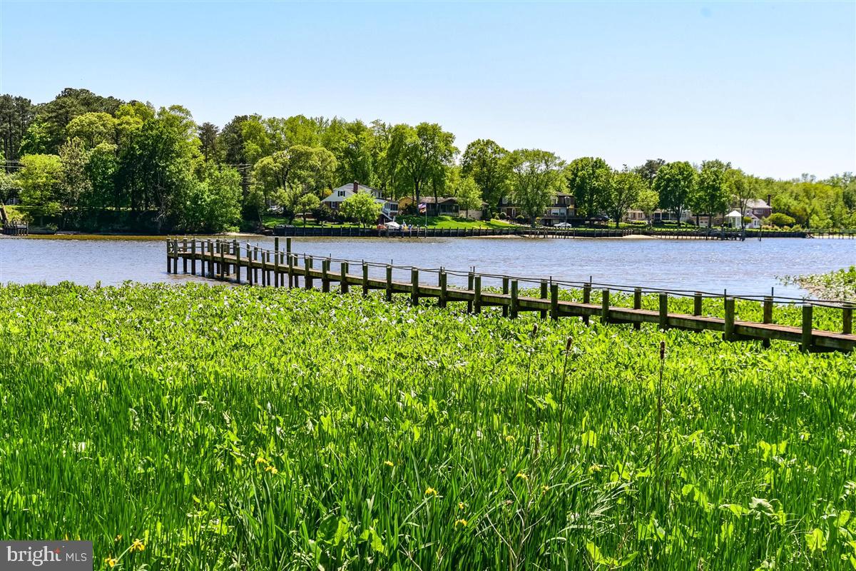 HARBOR POINTE - Residential