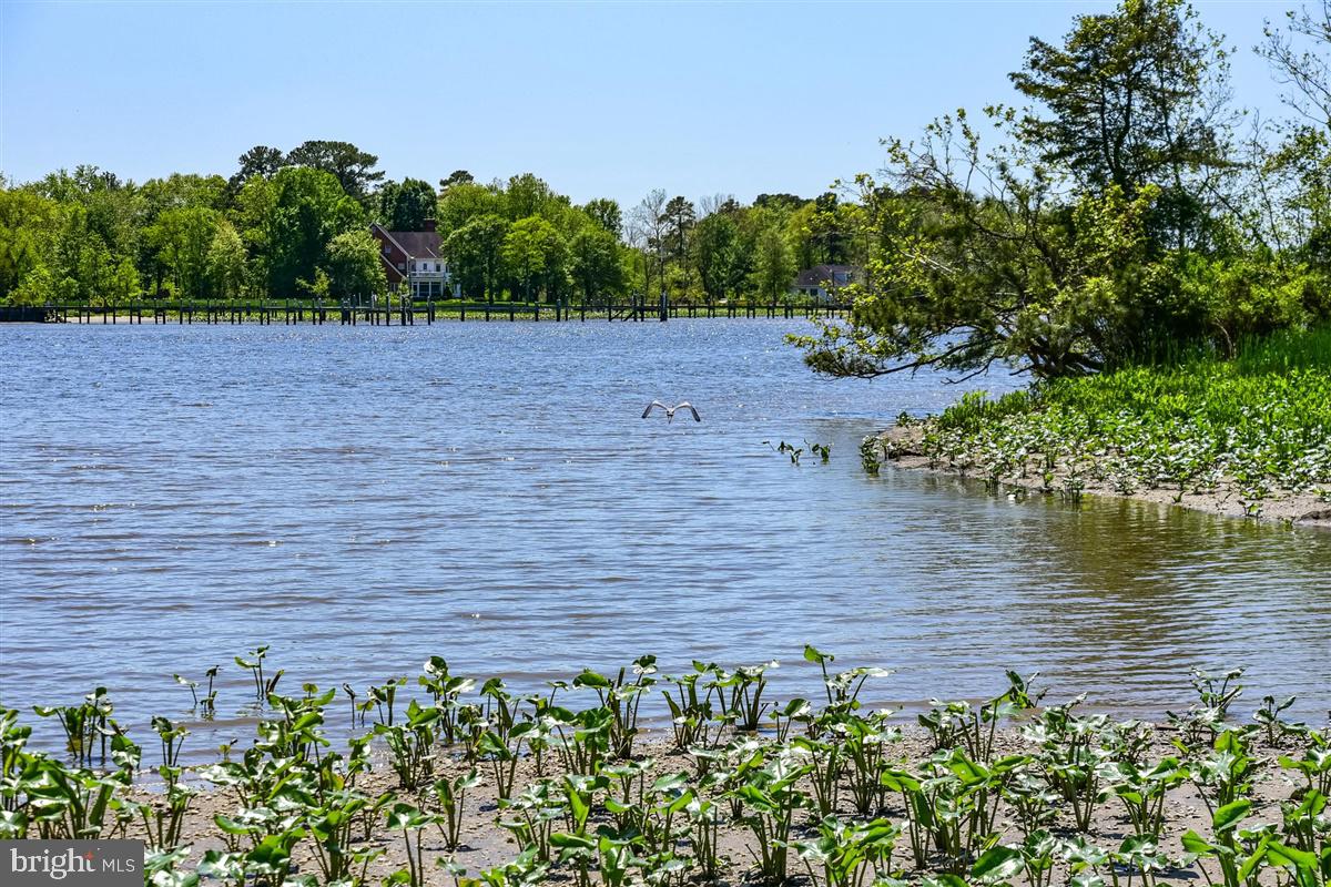 HARBOR POINTE - Residential