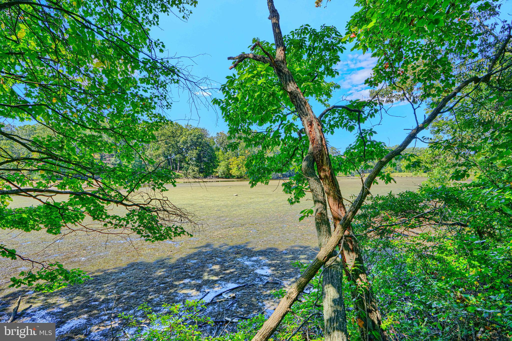 2 CEDAR VALLEY PLACE 204