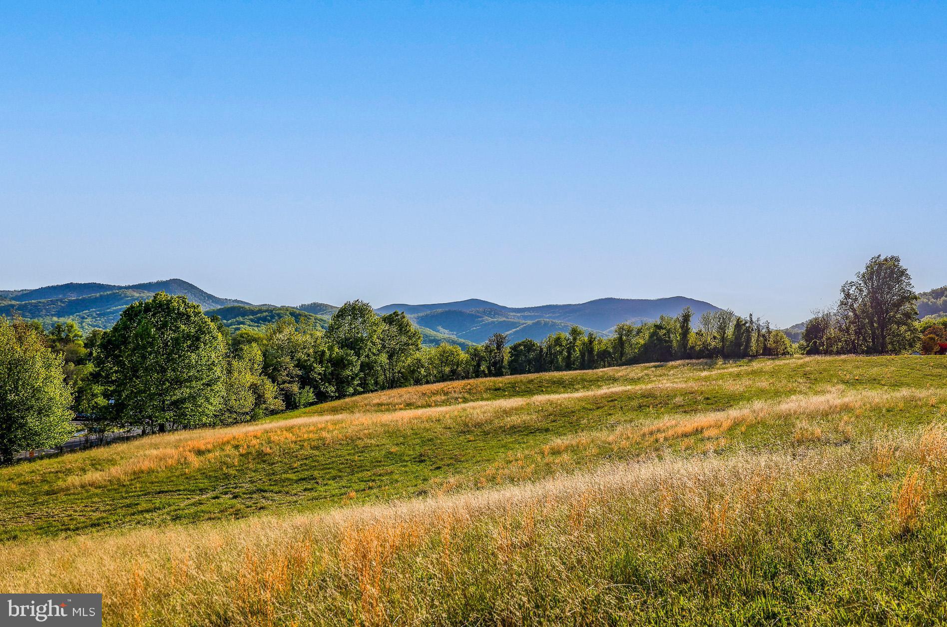 TBD 0 Lee Hwy PORTION OF TAX ID 38-71