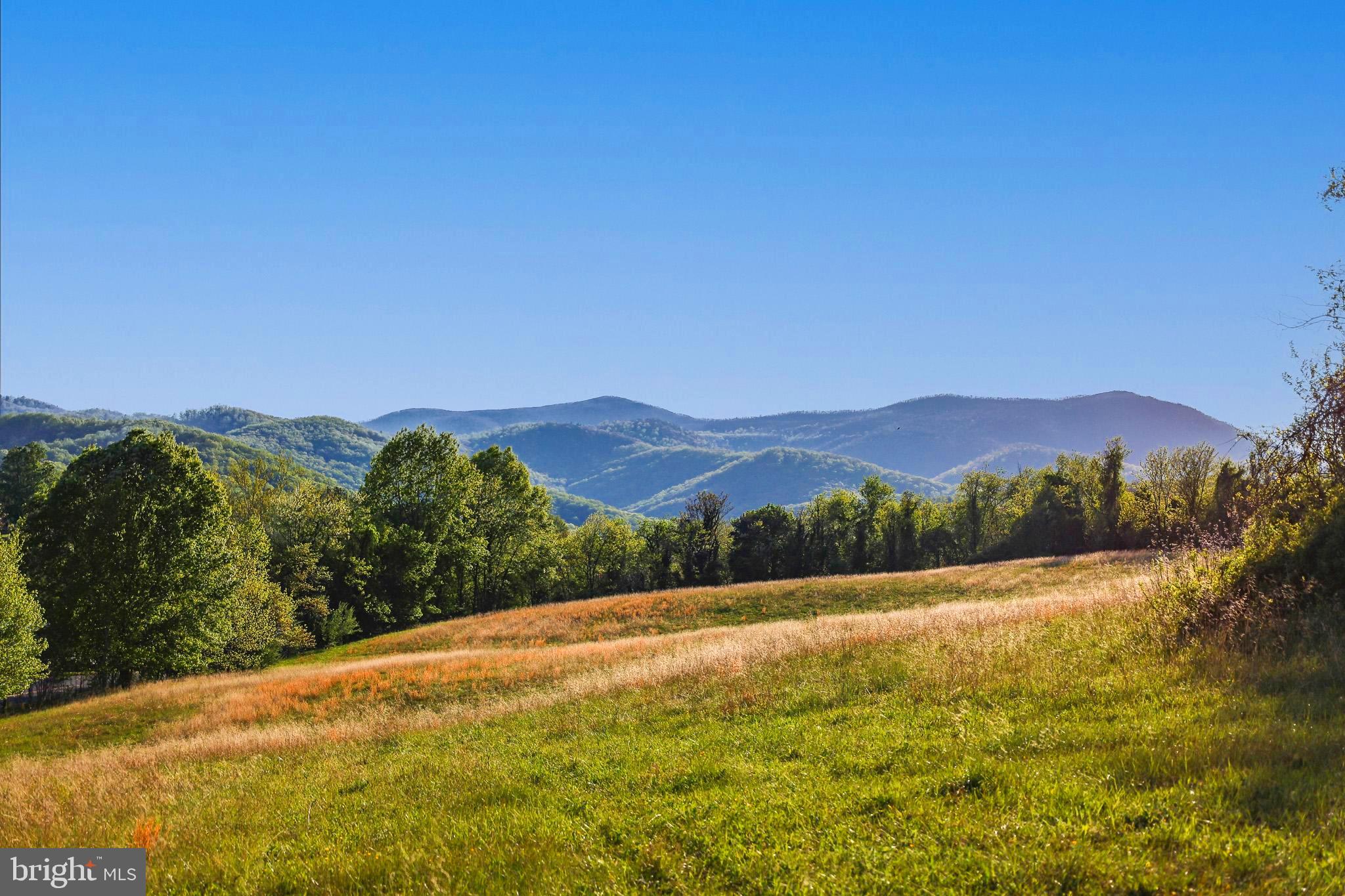 TBD 0 Lee Hwy PORTION OF TAX ID 38-71