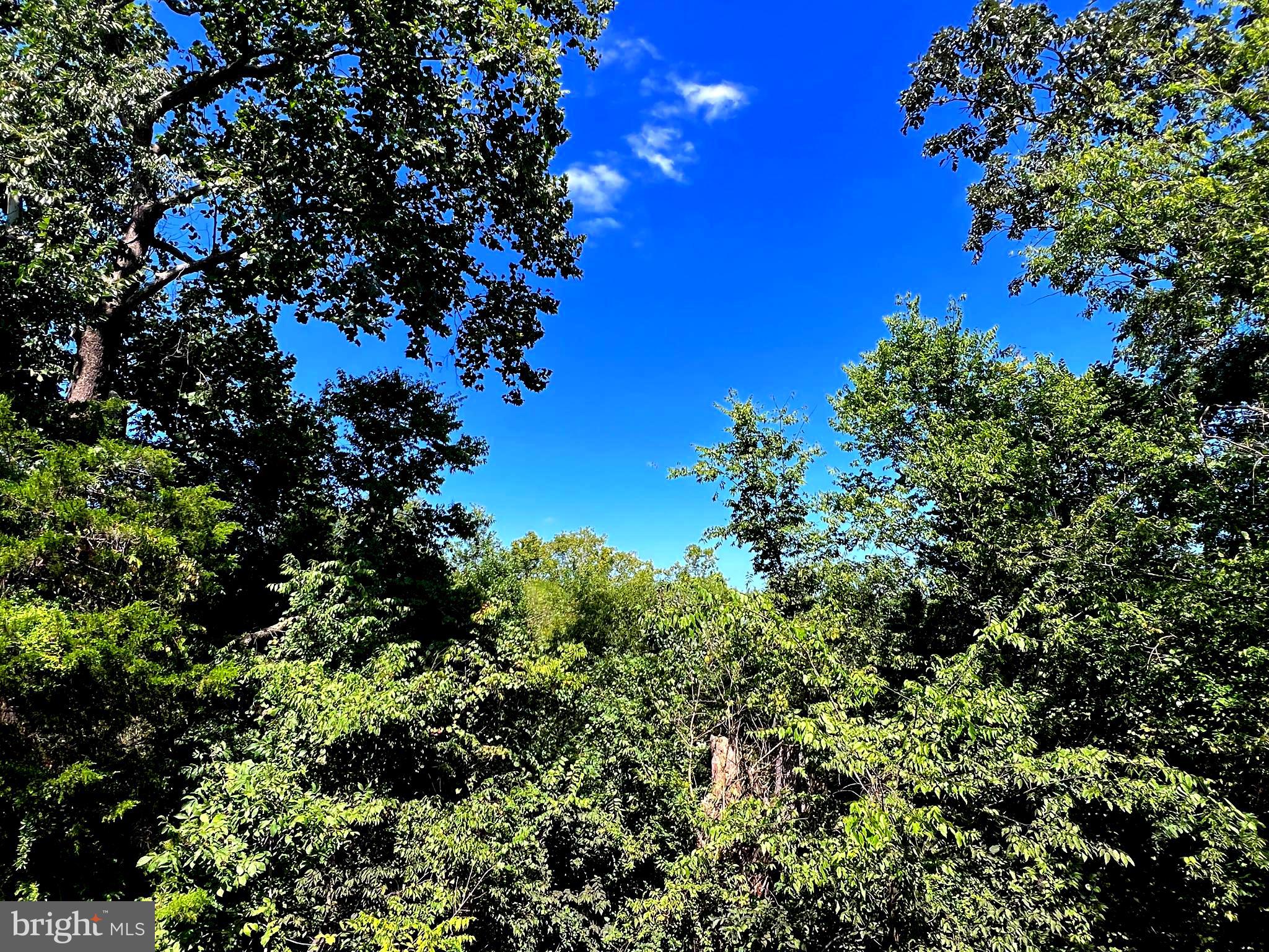 CARTERWOOD - Residential Lease