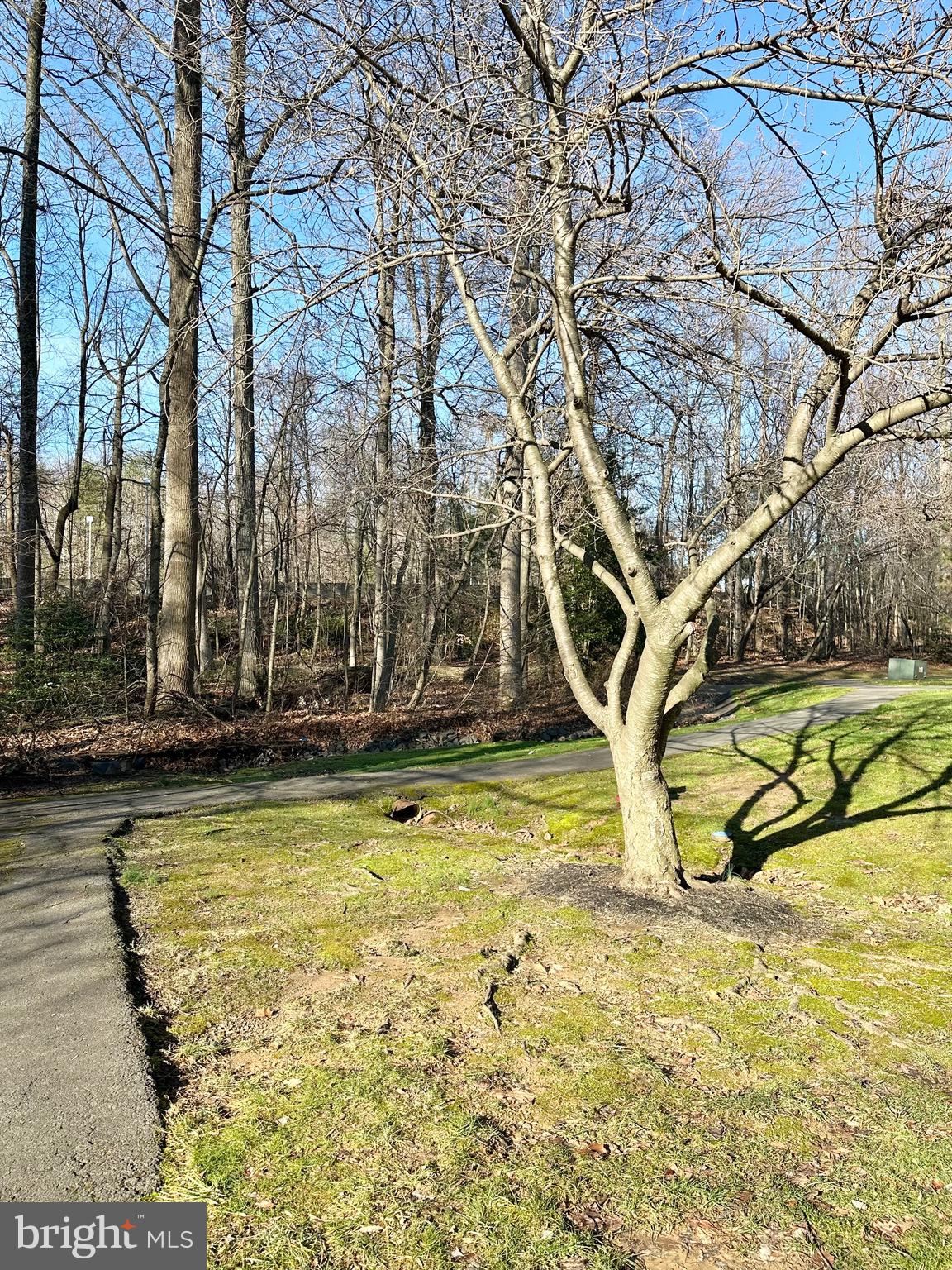 FAIR WOODS - Residential Lease