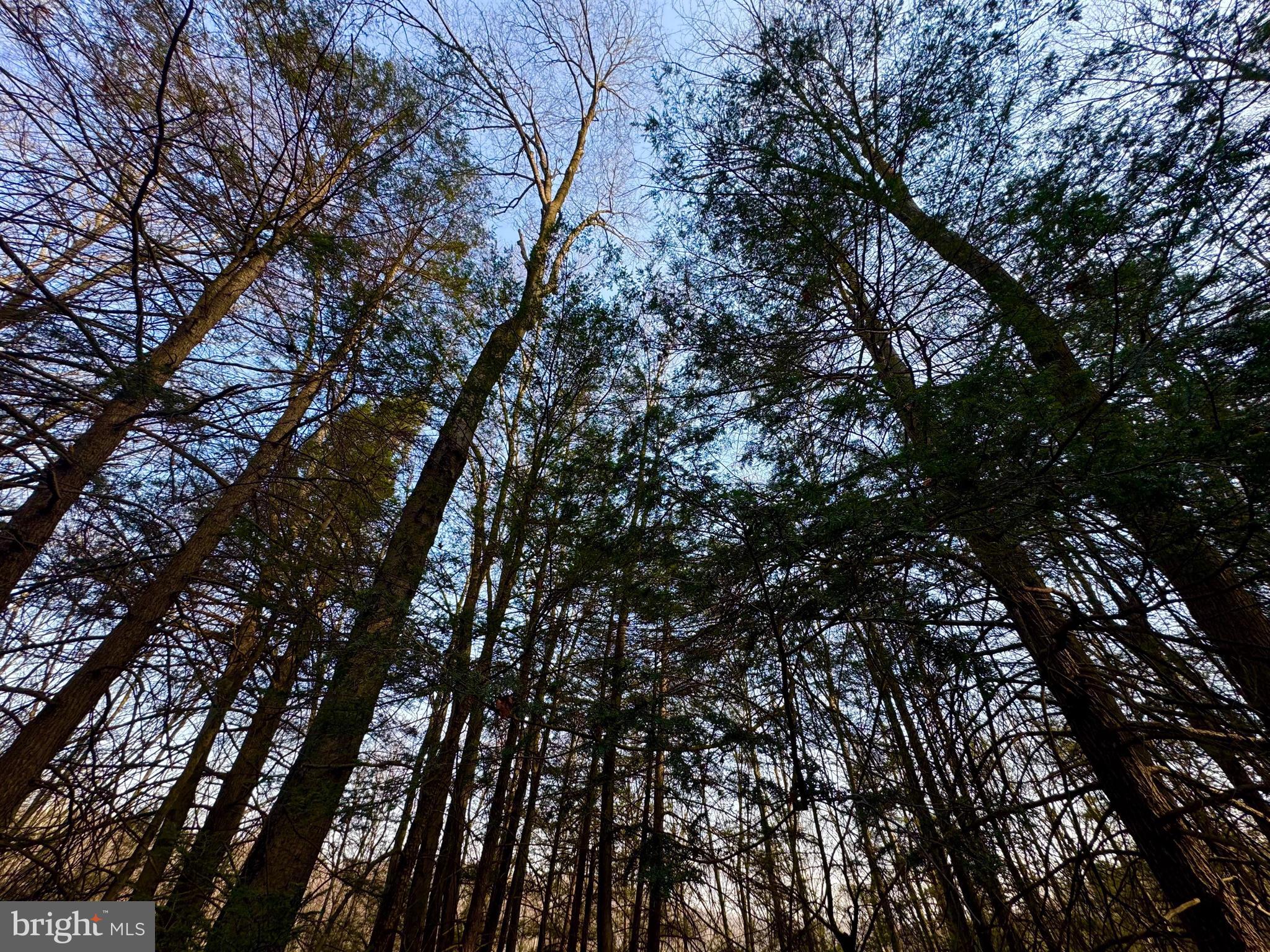 SOVERN RUN - Residential