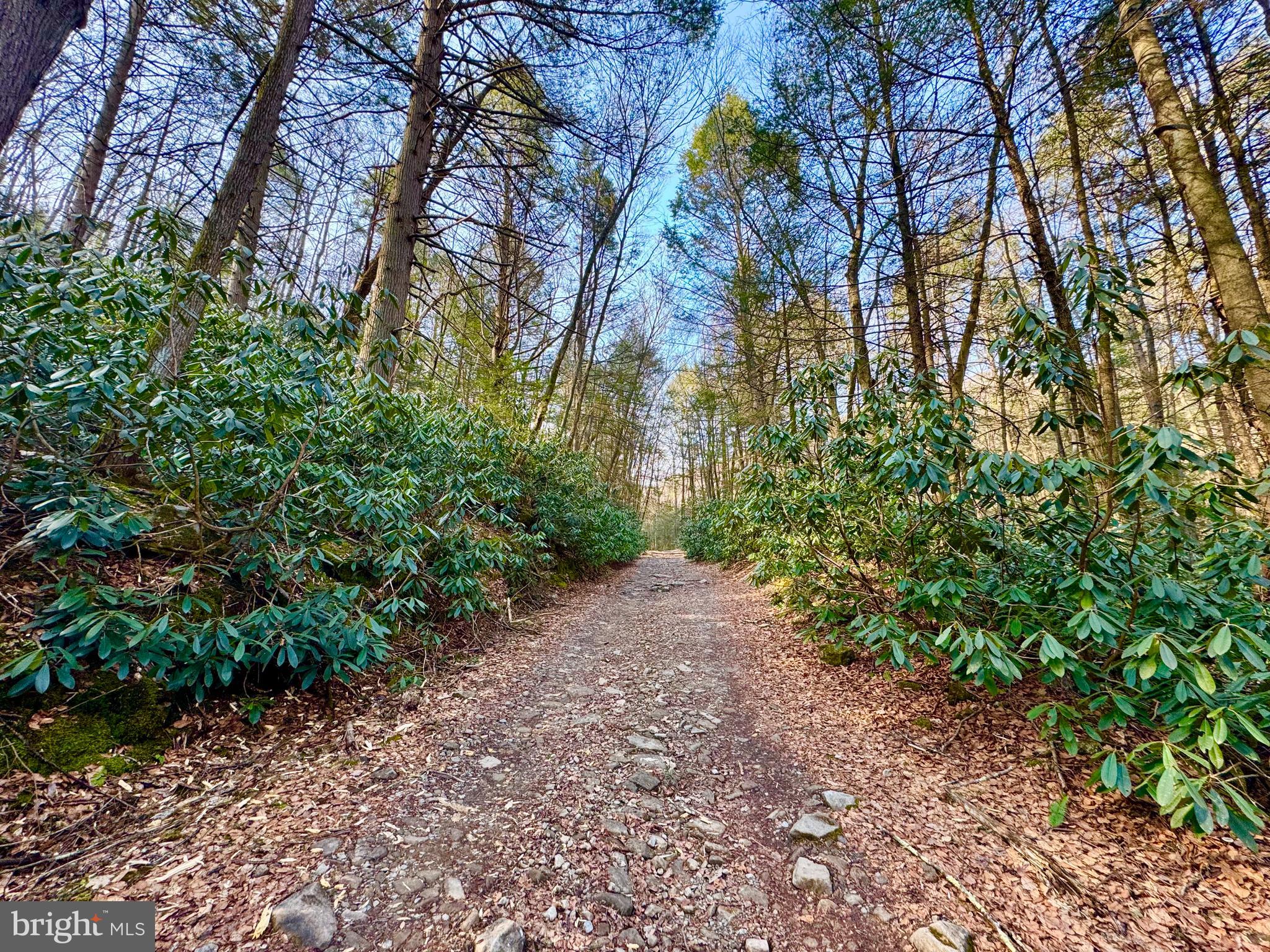 SOVERN RUN - Residential