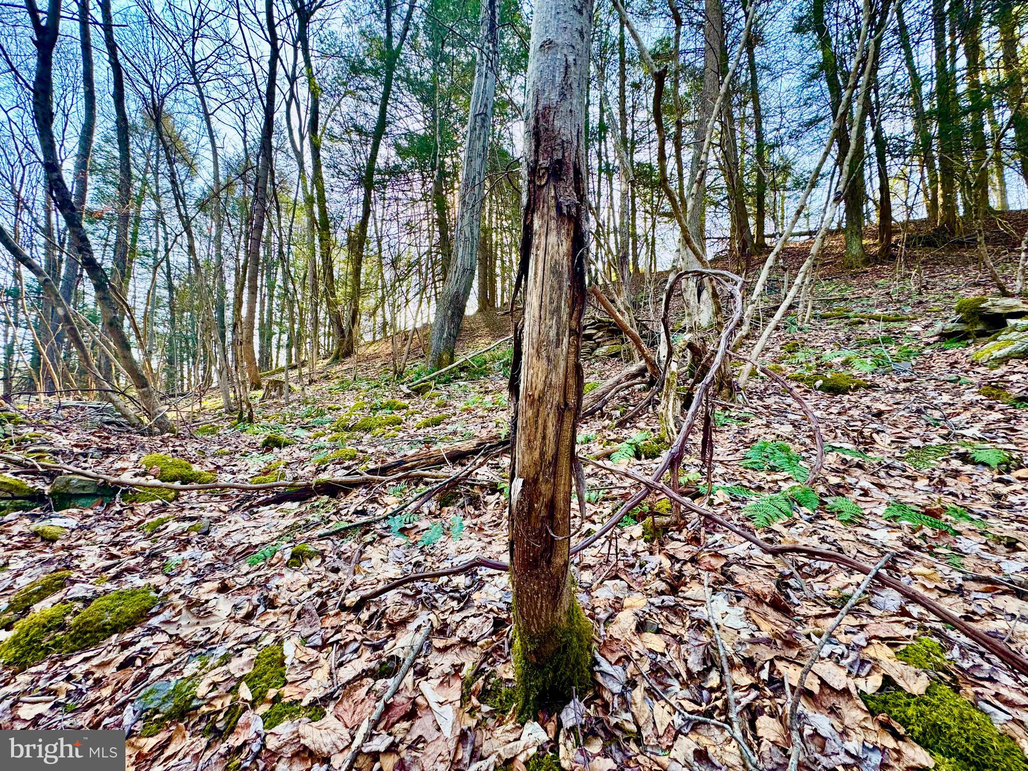 SOVERN RUN - Residential