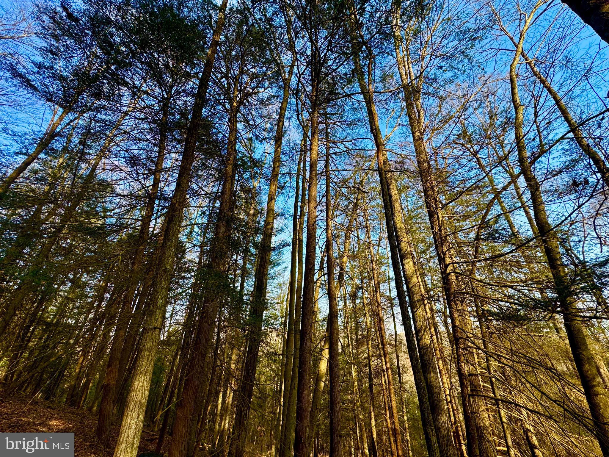 SOVERN RUN - Residential