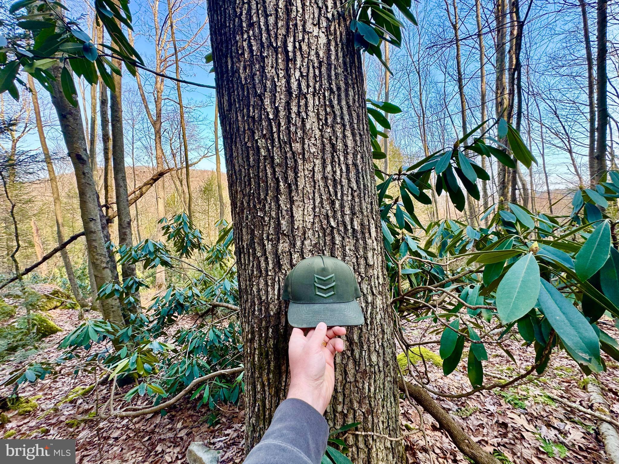 SOVERN RUN - Residential