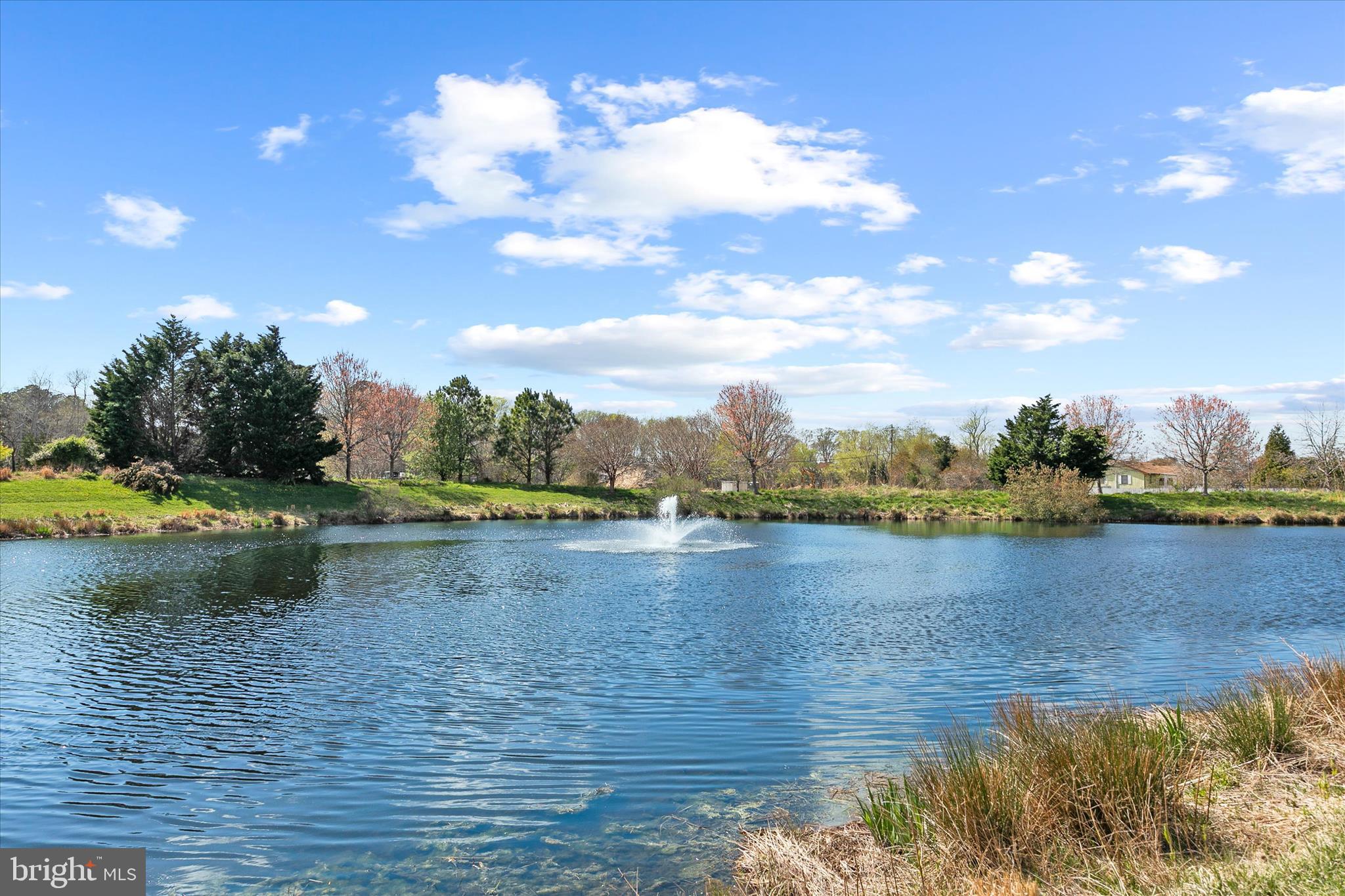 BAYSIDE - Residential