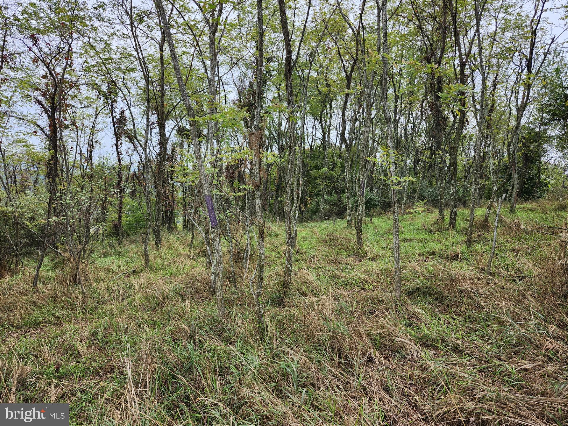 LOST MOUNTAIN - Land