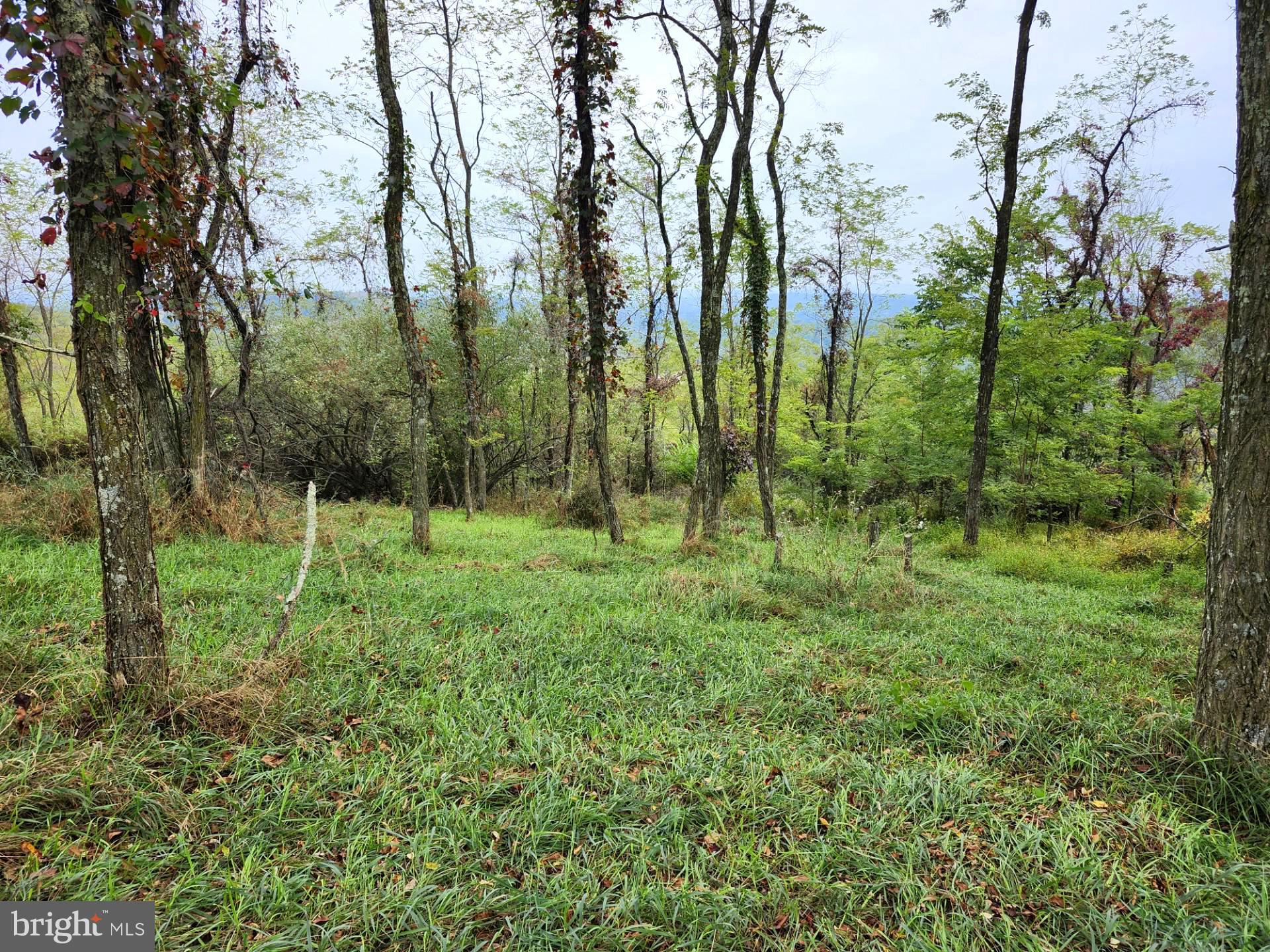 LOST MOUNTAIN - Land