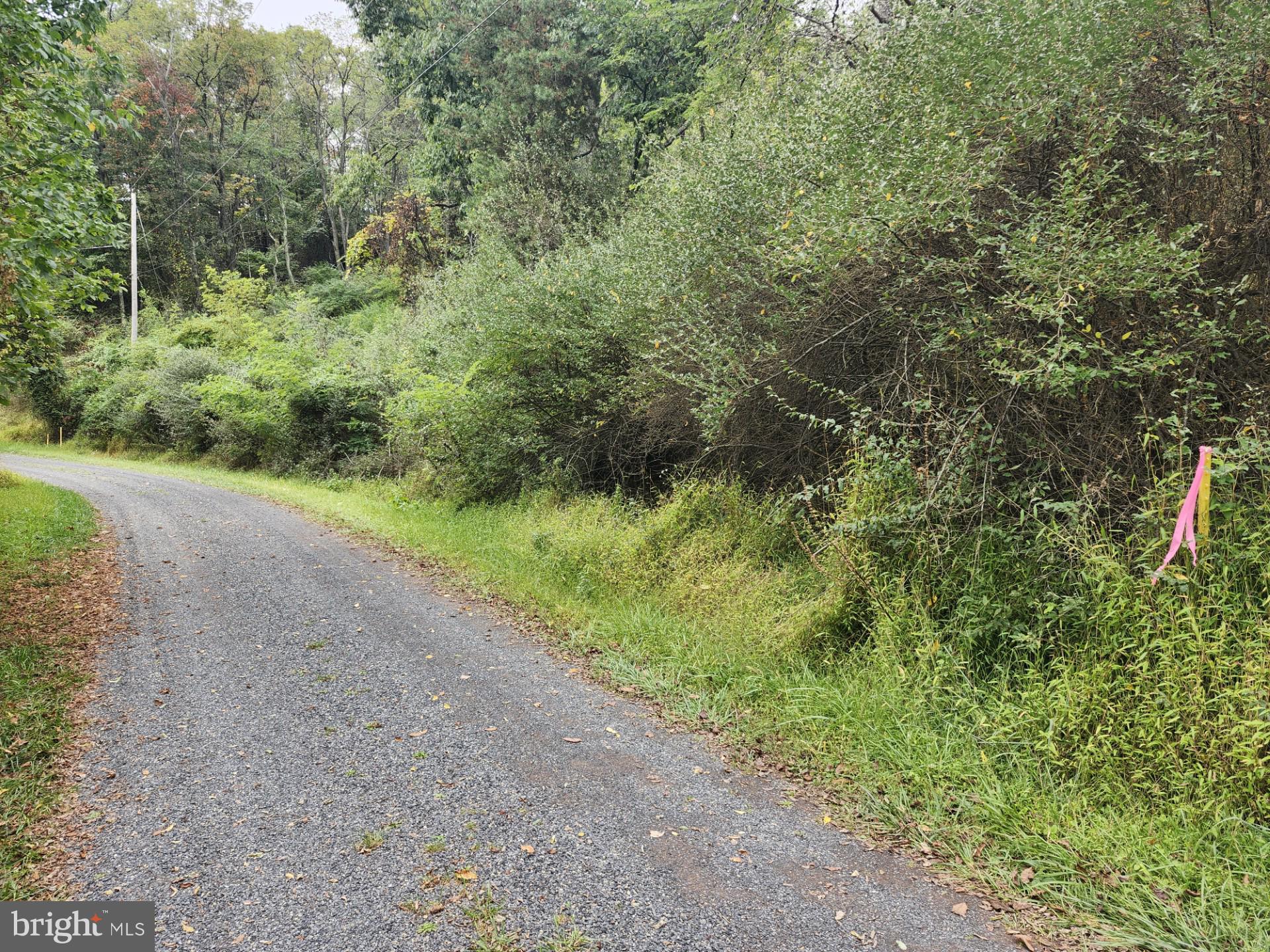 LOST MOUNTAIN - Land