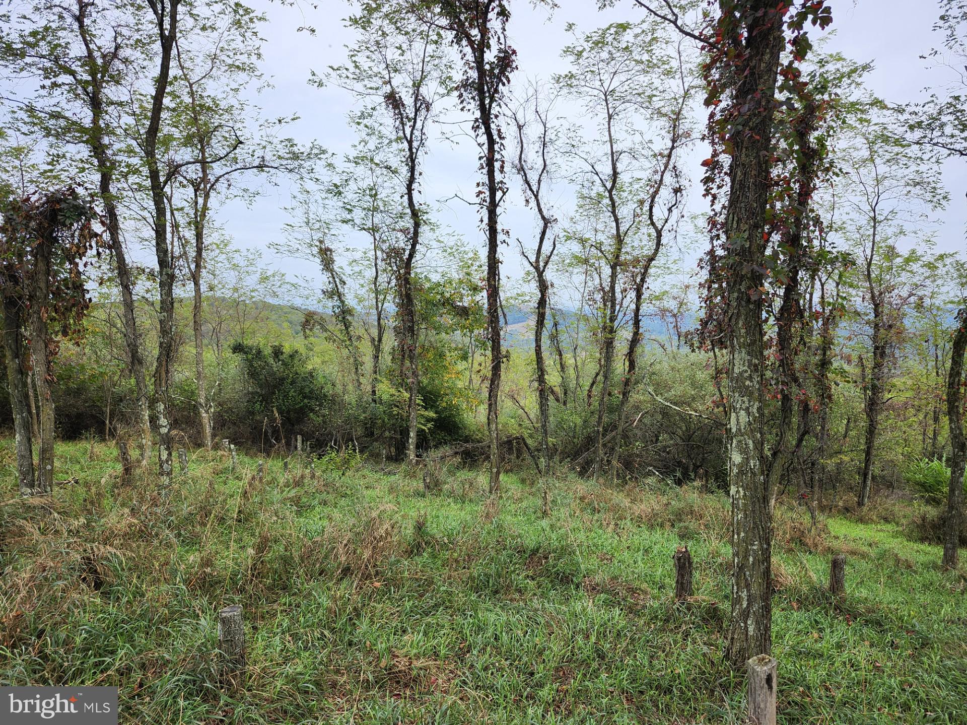 LOST MOUNTAIN - Land