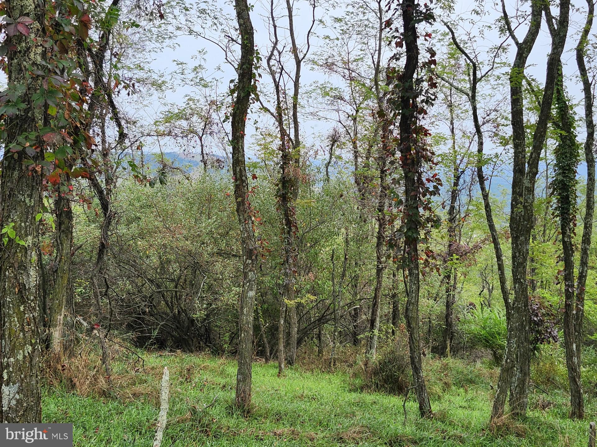 LOST MOUNTAIN - Land