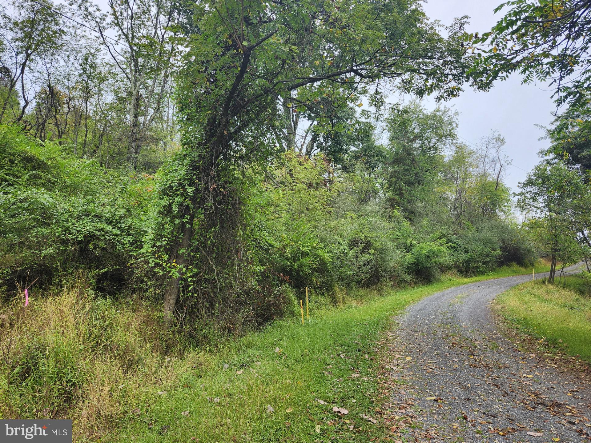 LOST MOUNTAIN - Land