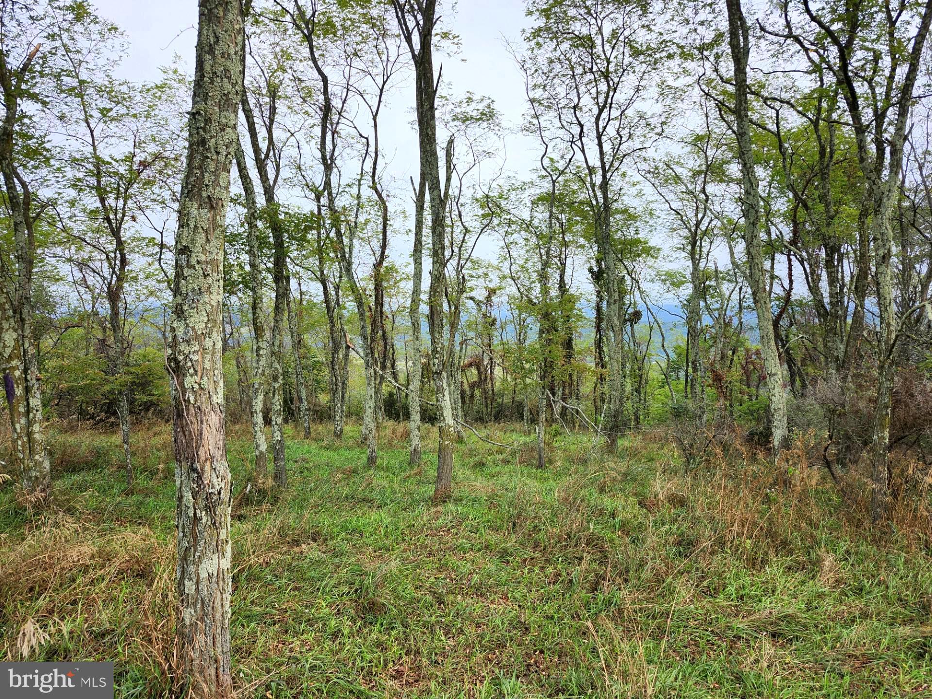 LOST MOUNTAIN - Land