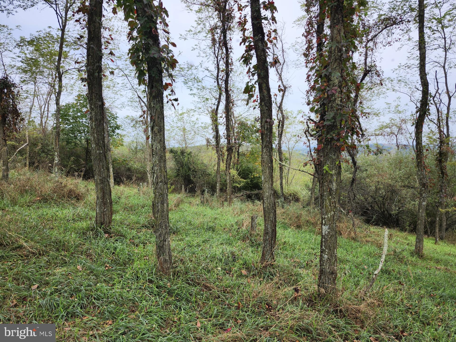 LOST MOUNTAIN - Land