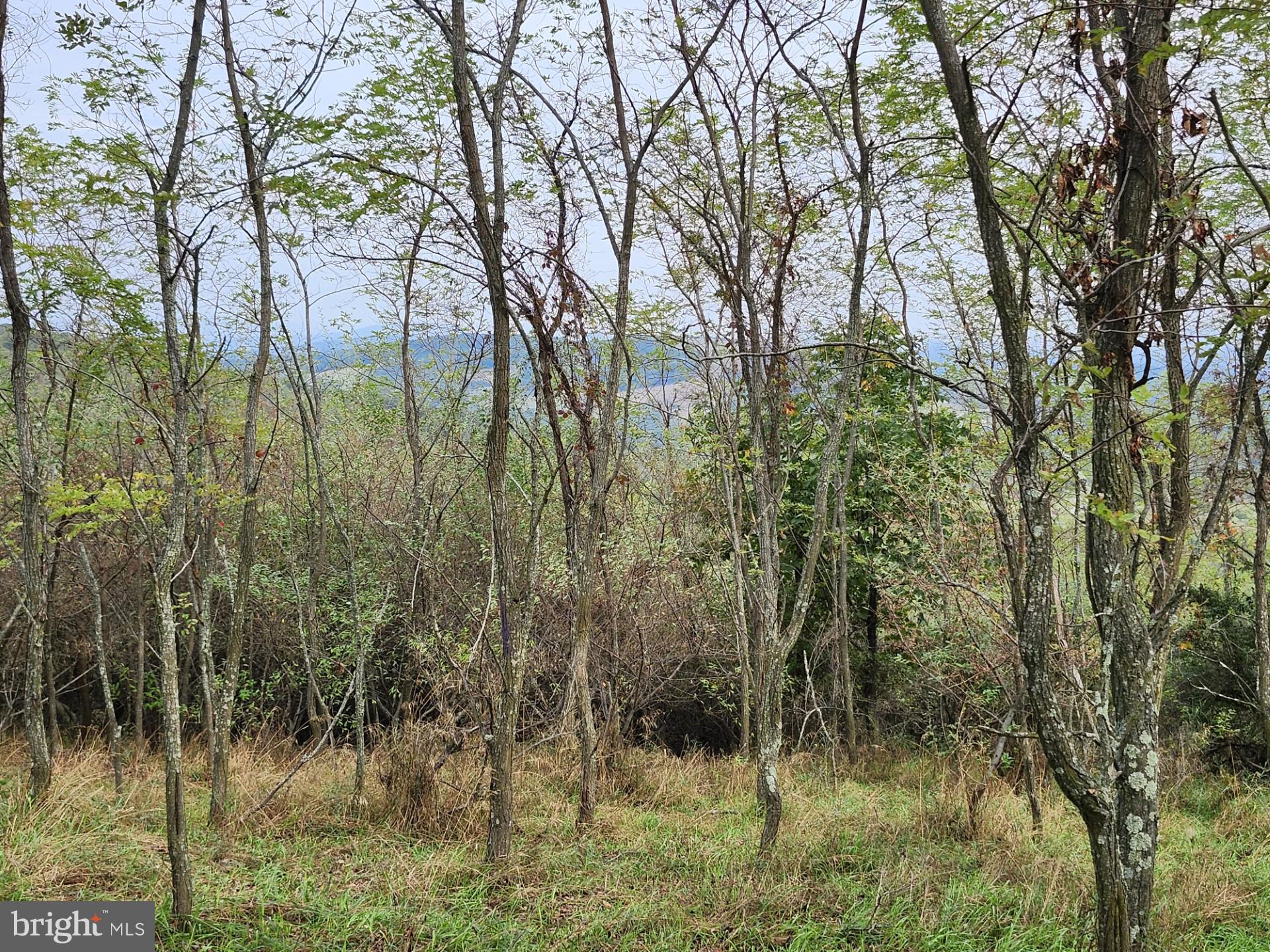 LOST MOUNTAIN - Land