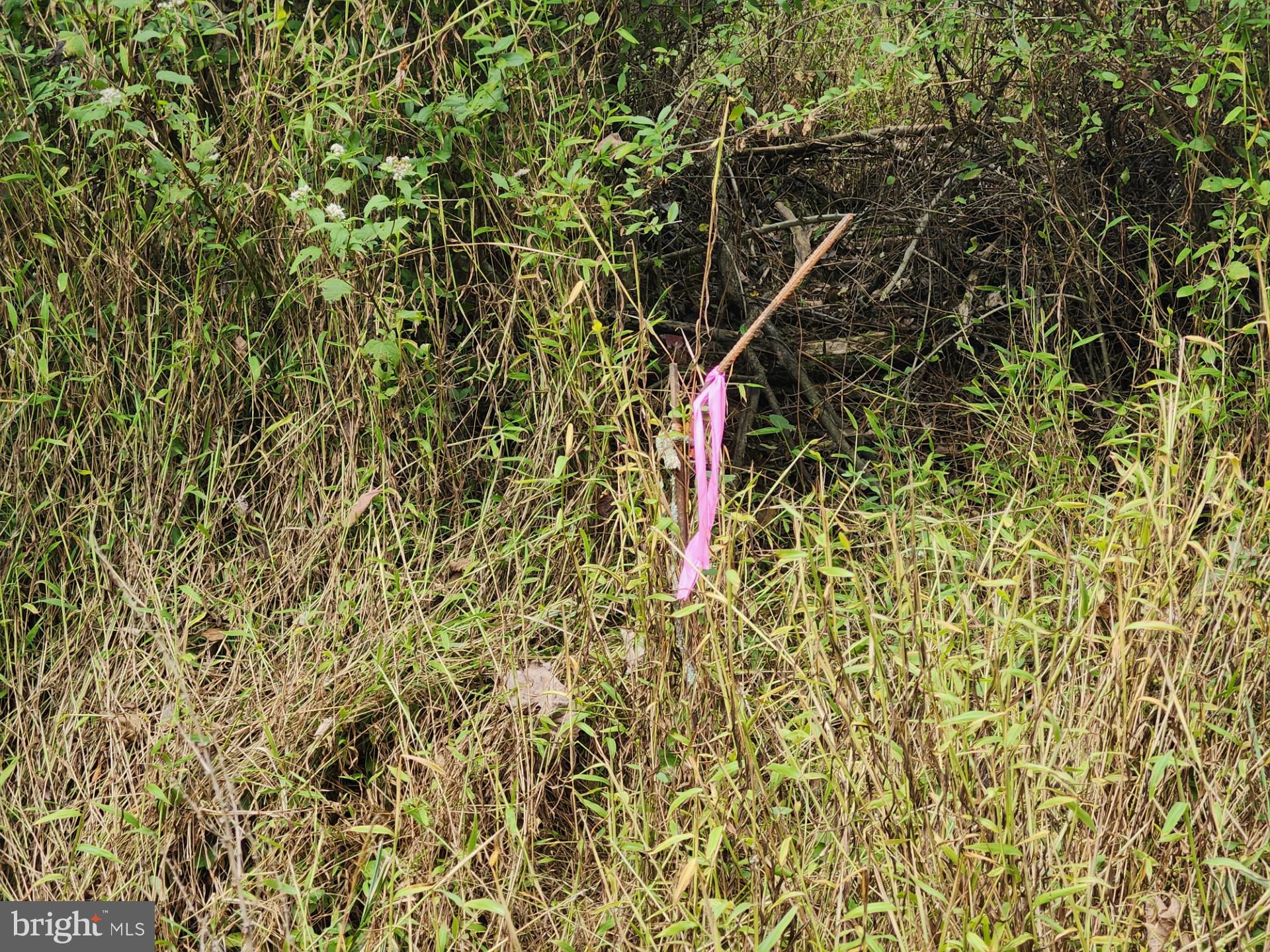 LOST MOUNTAIN - Land