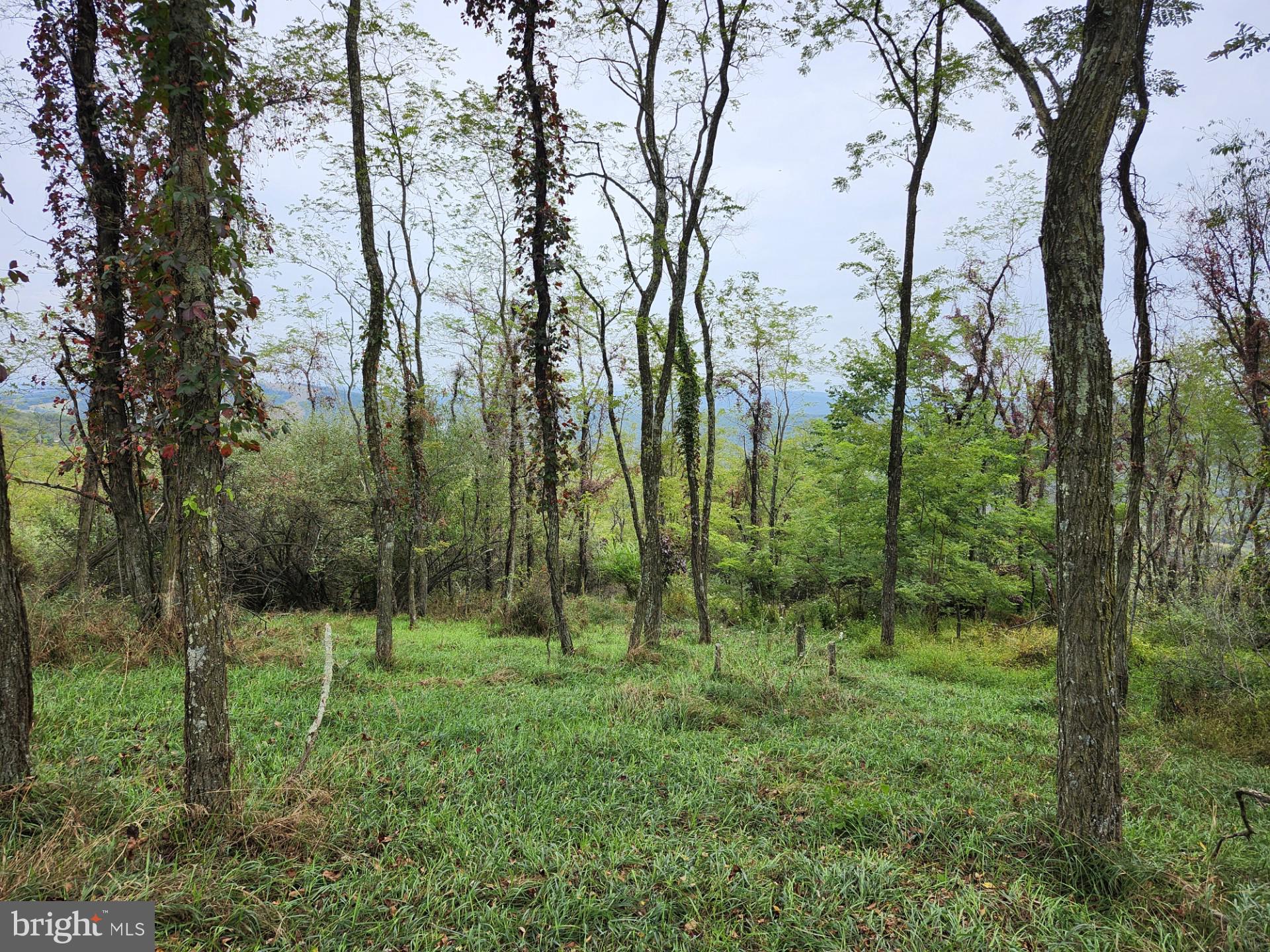 LOST MOUNTAIN - Land