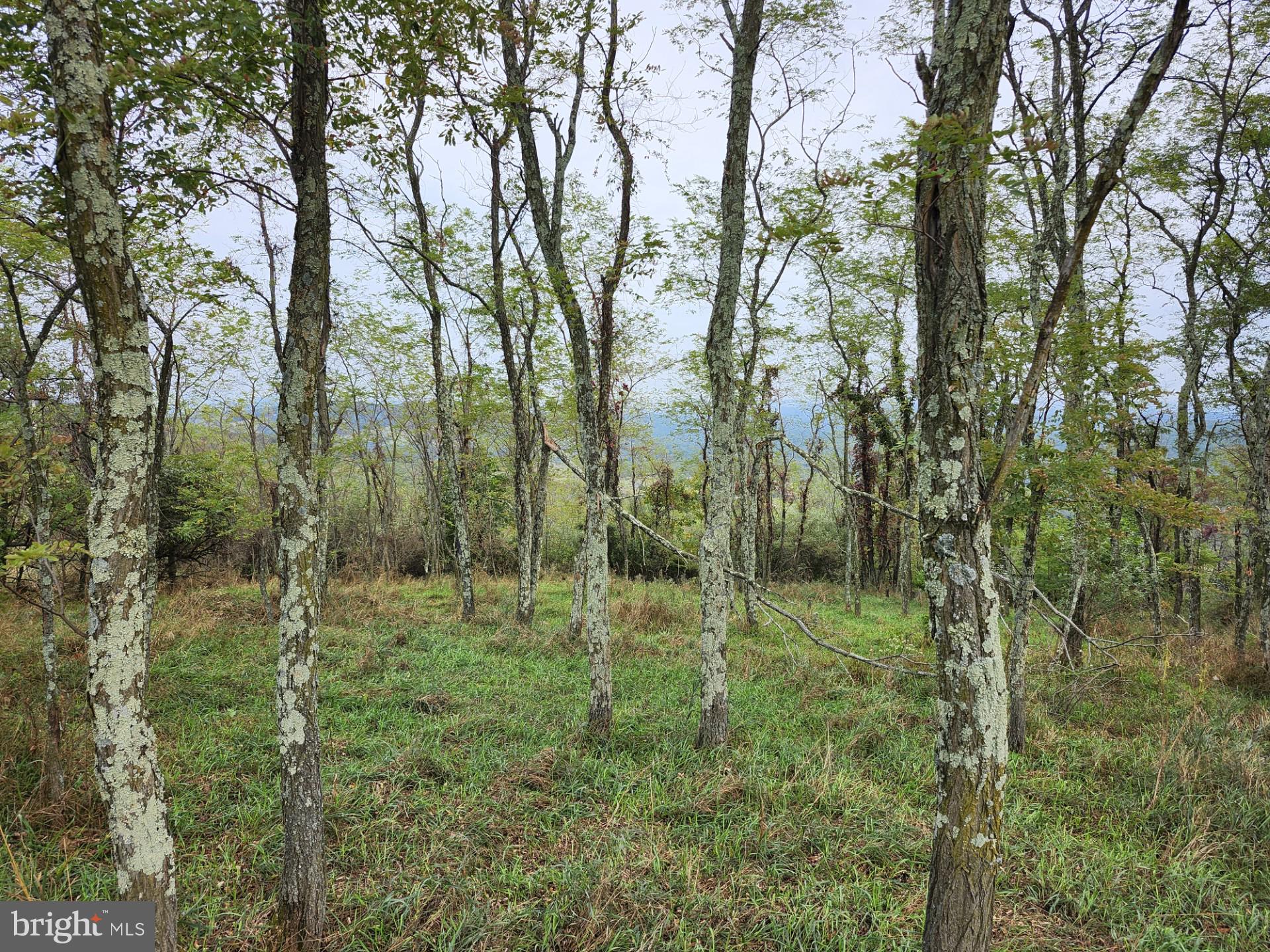 LOST MOUNTAIN - Land