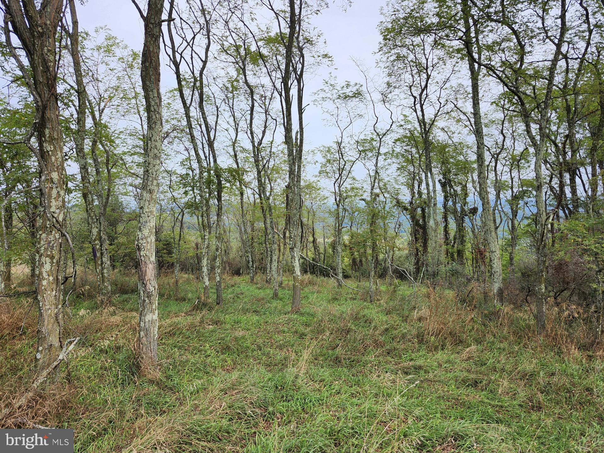 LOST MOUNTAIN - Land