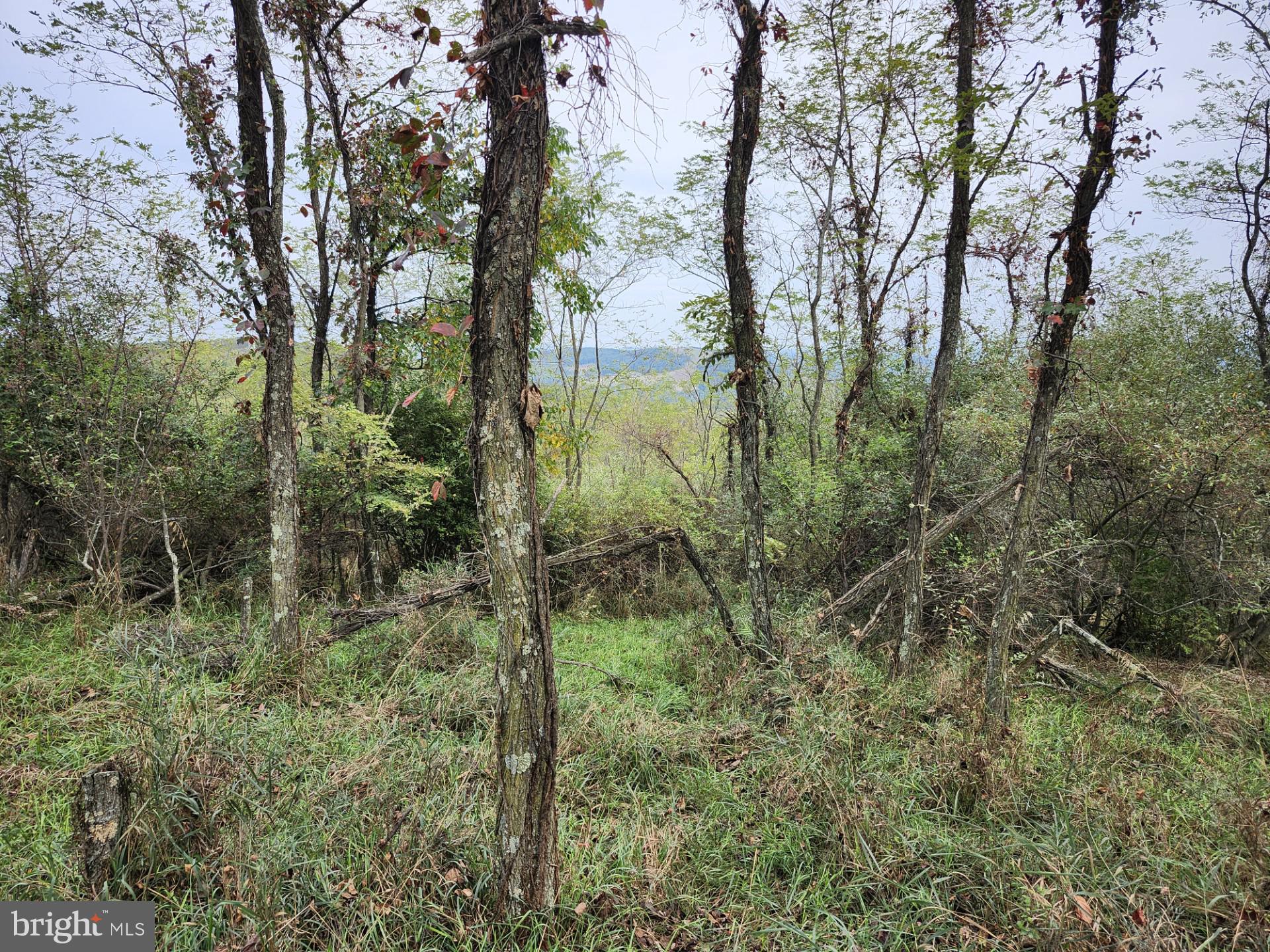 LOST MOUNTAIN - Land