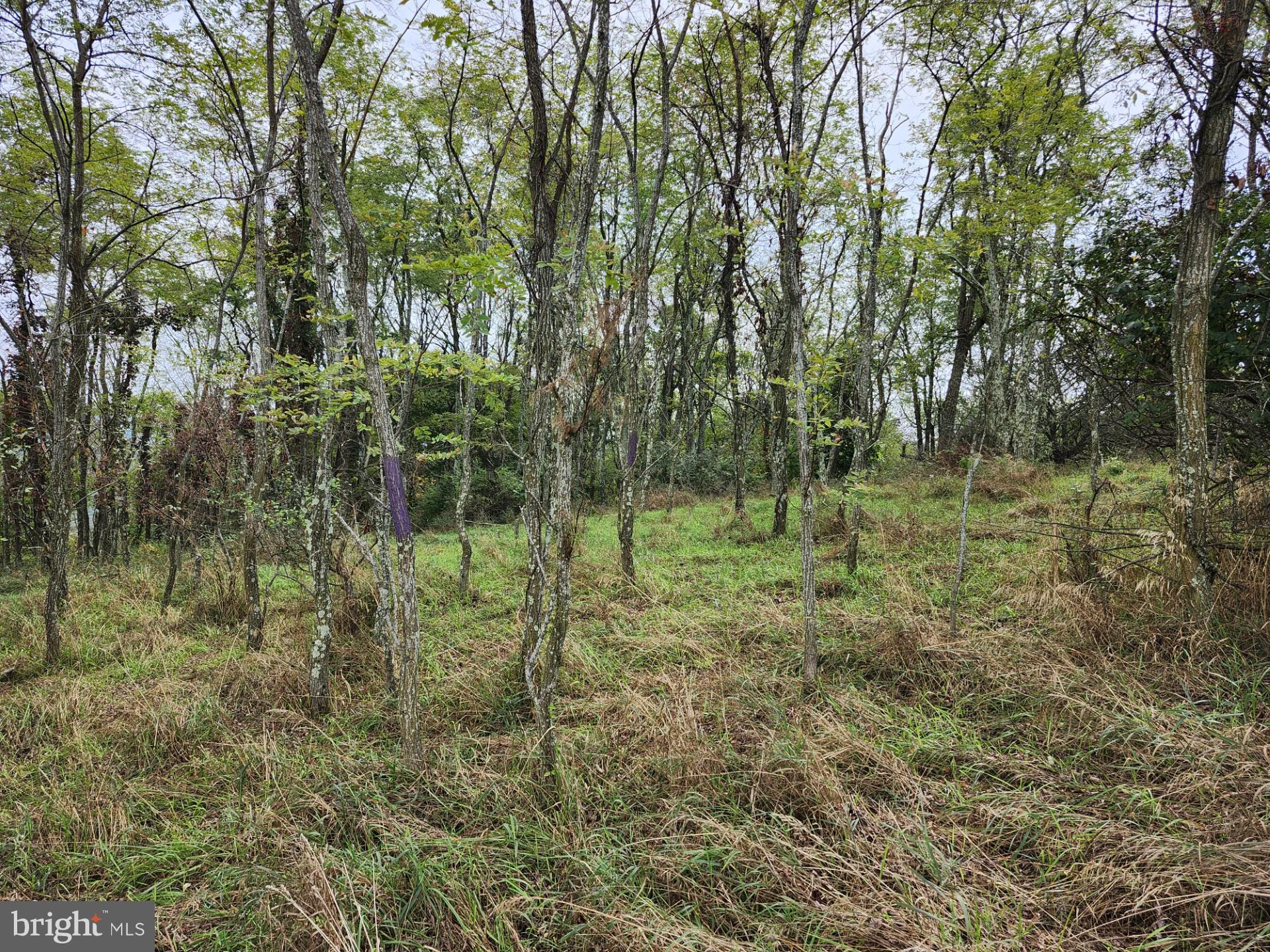 LOST MOUNTAIN - Land